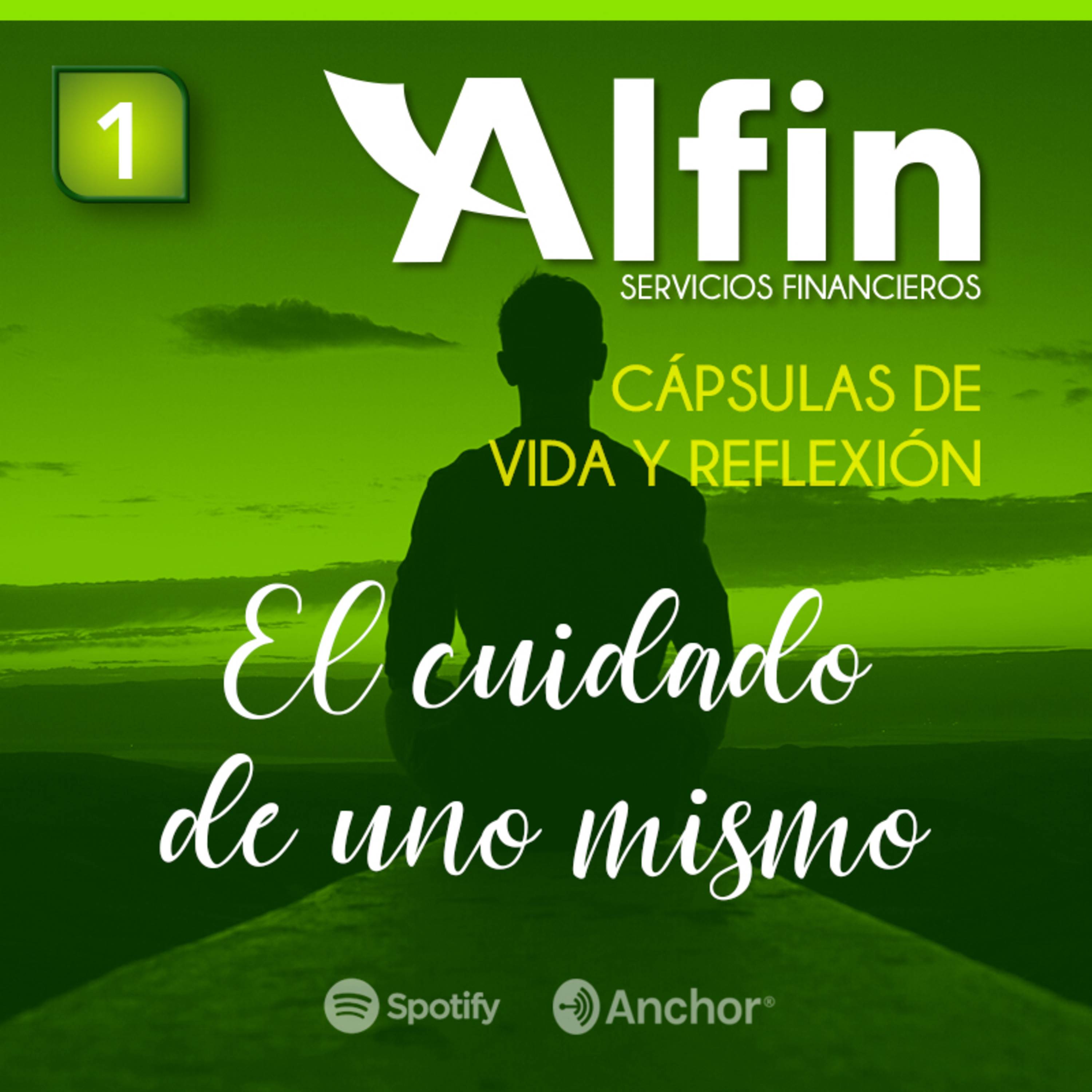 Estilo de Vida Alfin