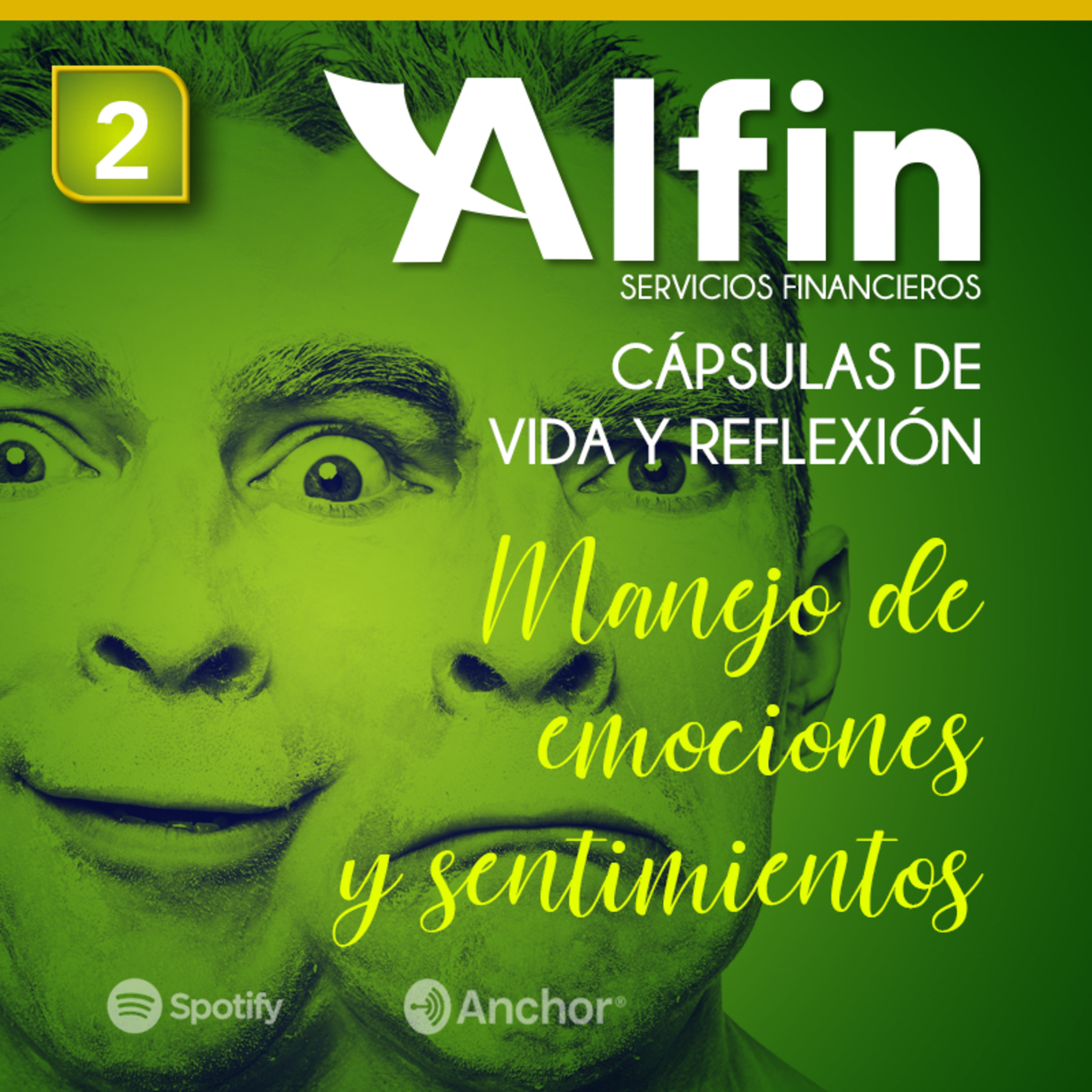 Estilo de Vida Alfin