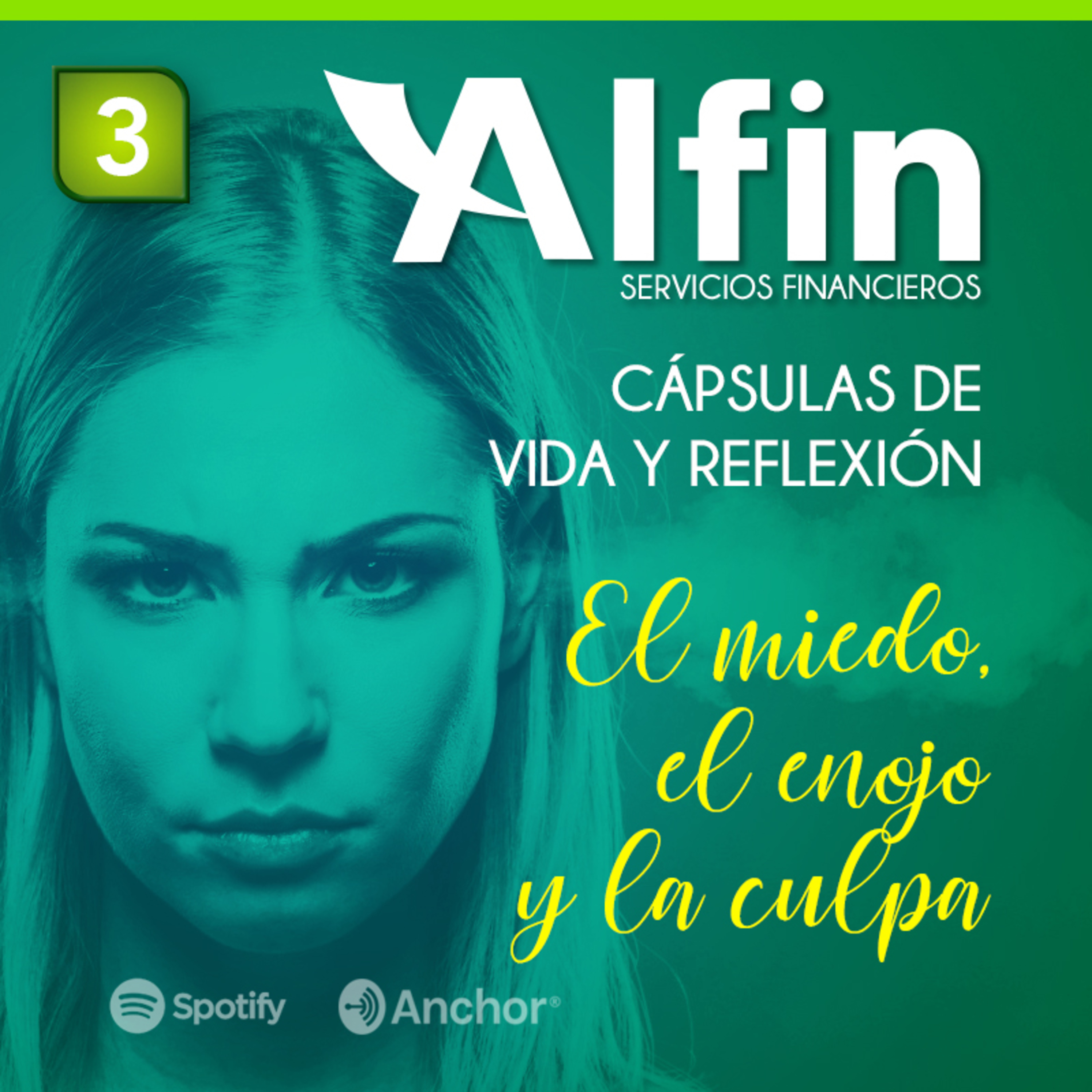 Estilo de Vida Alfin
