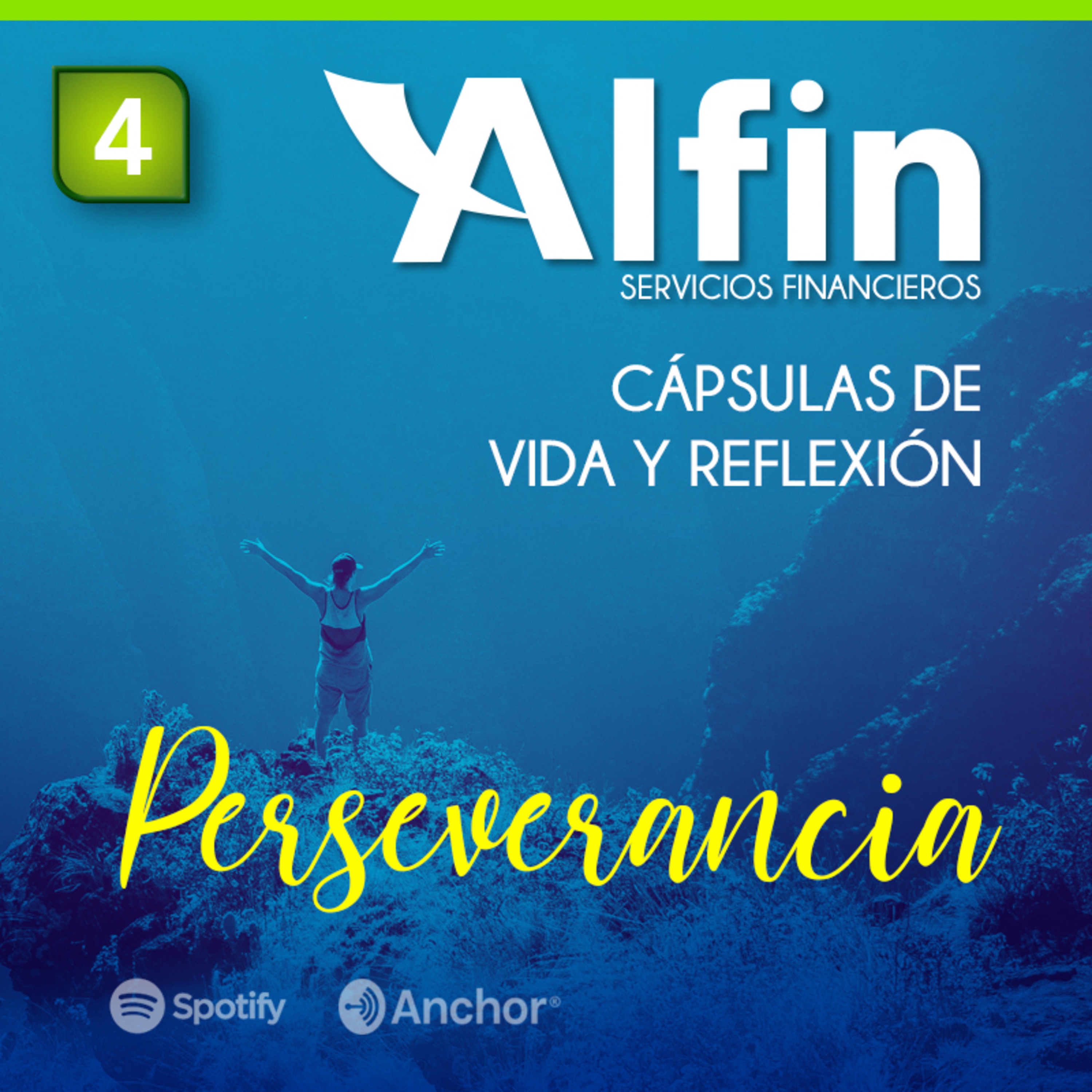 Estilo de Vida Alfin