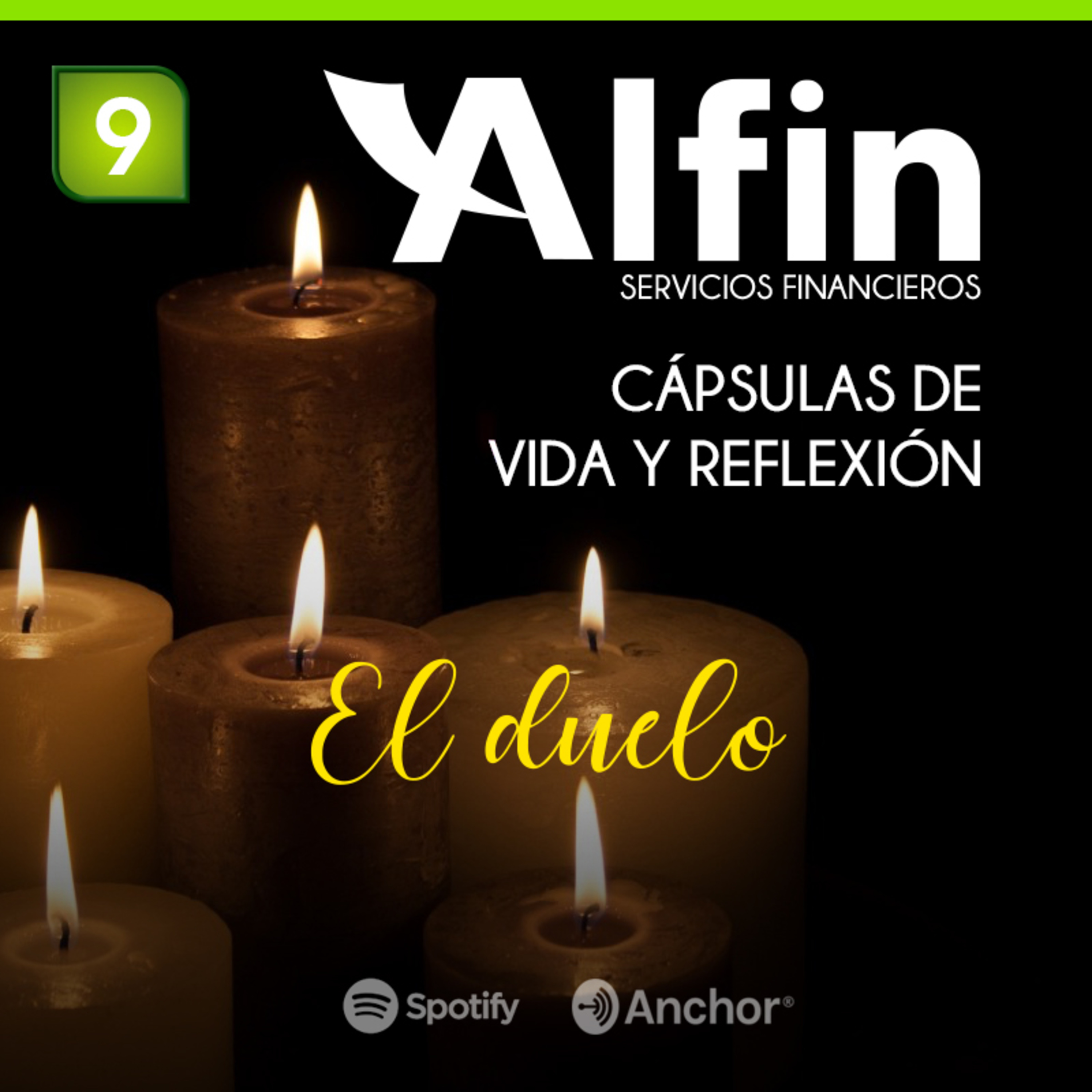 Estilo de Vida Alfin