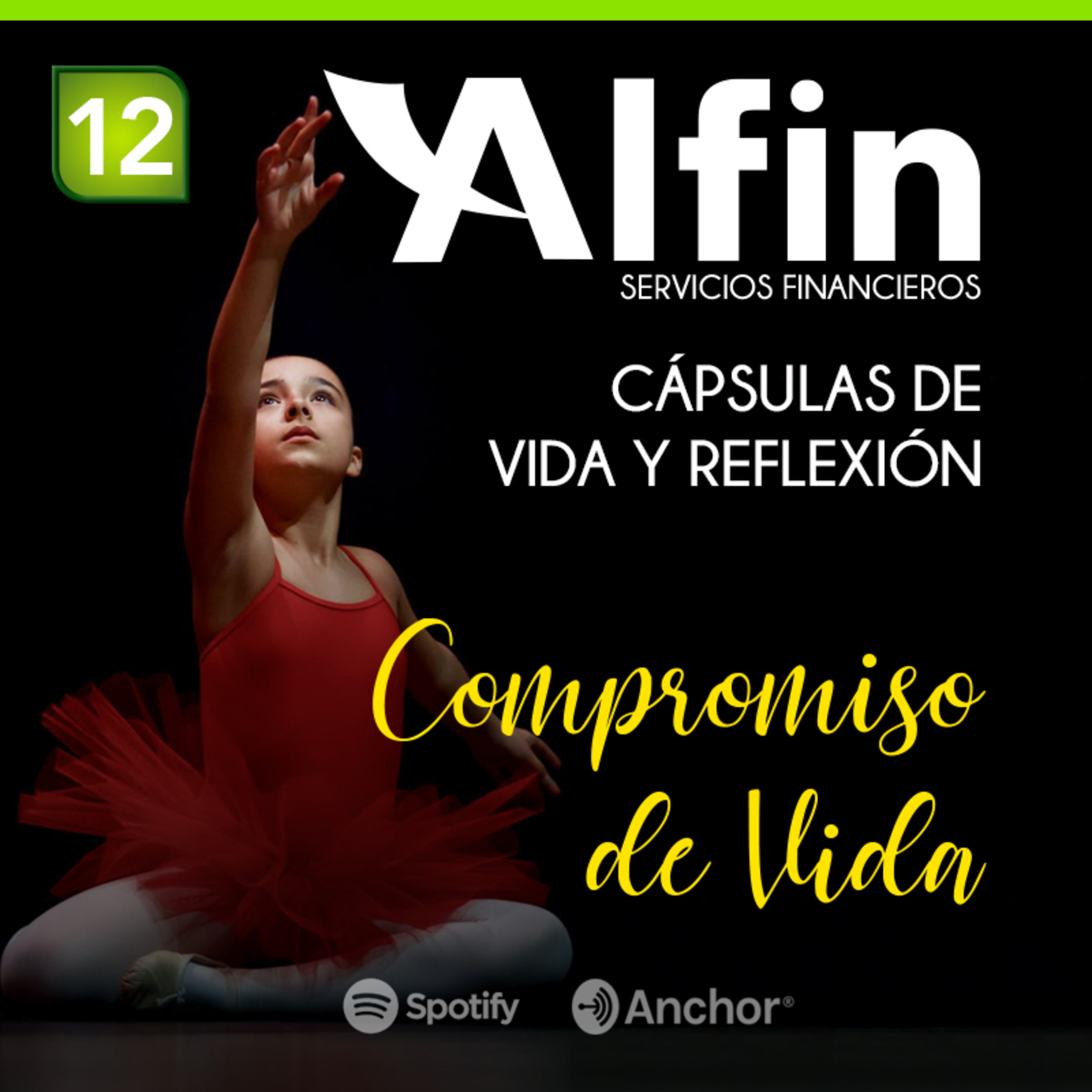 Estilo de Vida Alfin