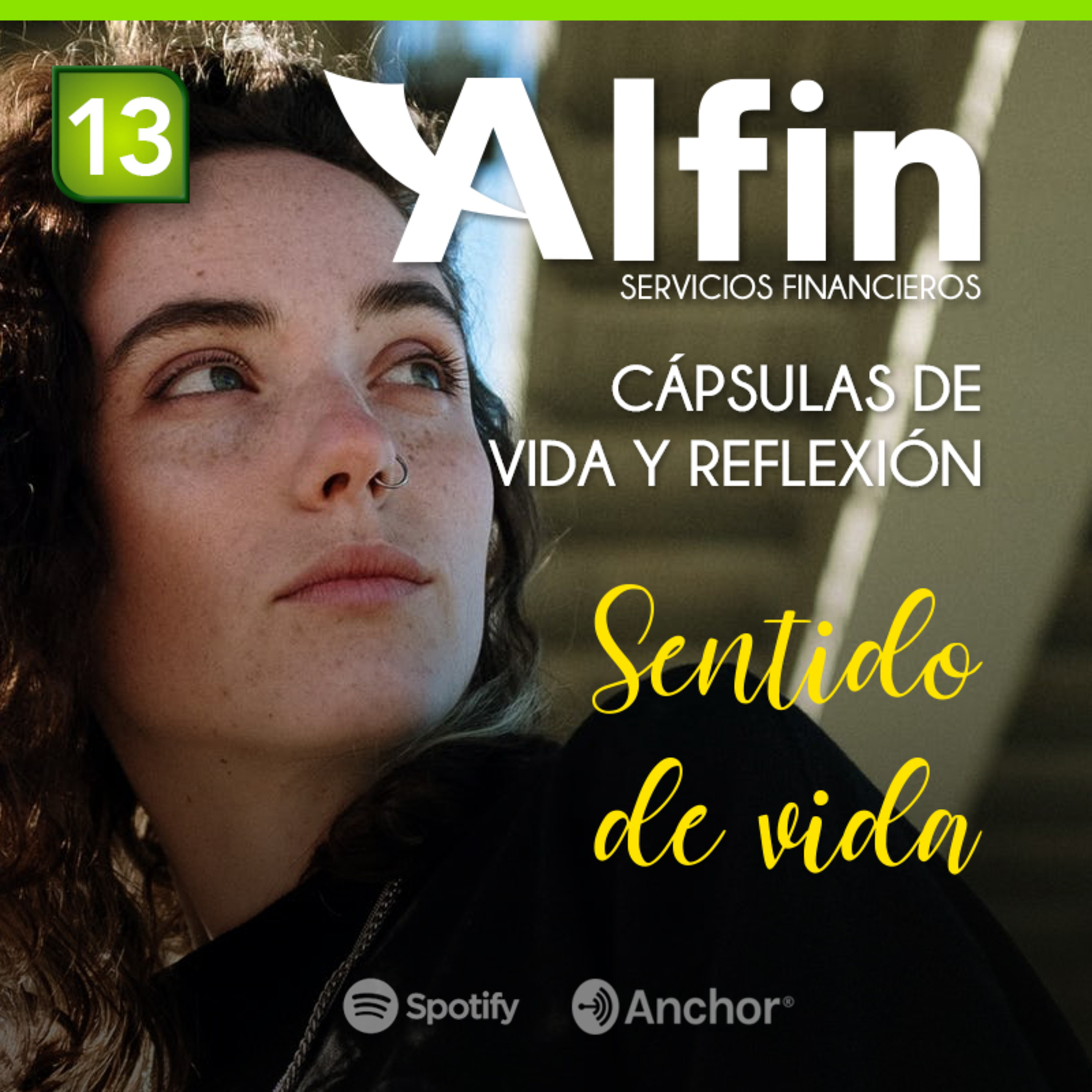 Estilo de Vida Alfin