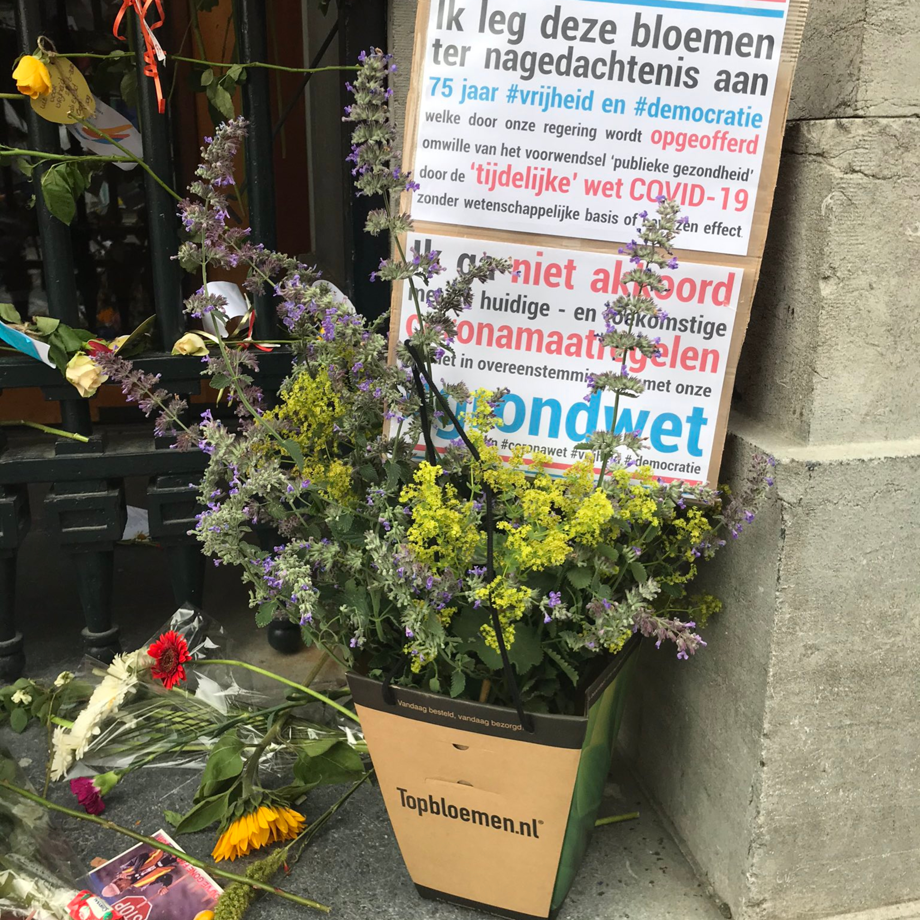 Samen Terug Naar Normaal - verslag van de Demonstratie vóór vrijheid episode artwork