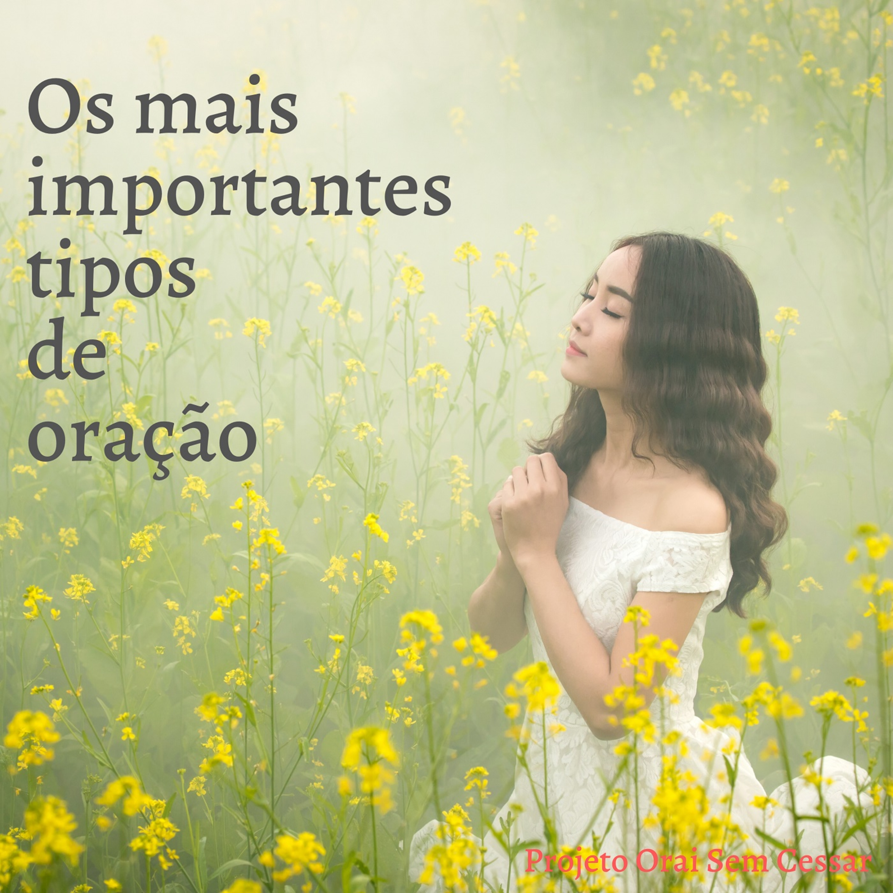 Tema 3: OS MAIS IMPORTANTES TIPOS DE ORAÇÃO episode artwork