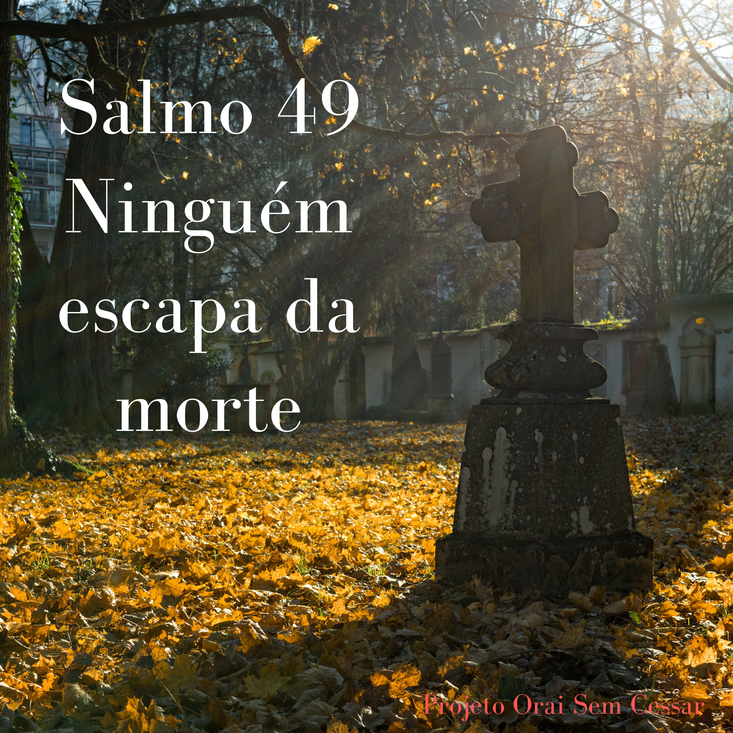 Salmo 49 Entendendo quão frágil é a vida e quão dependentes somos de Deus episode artwork