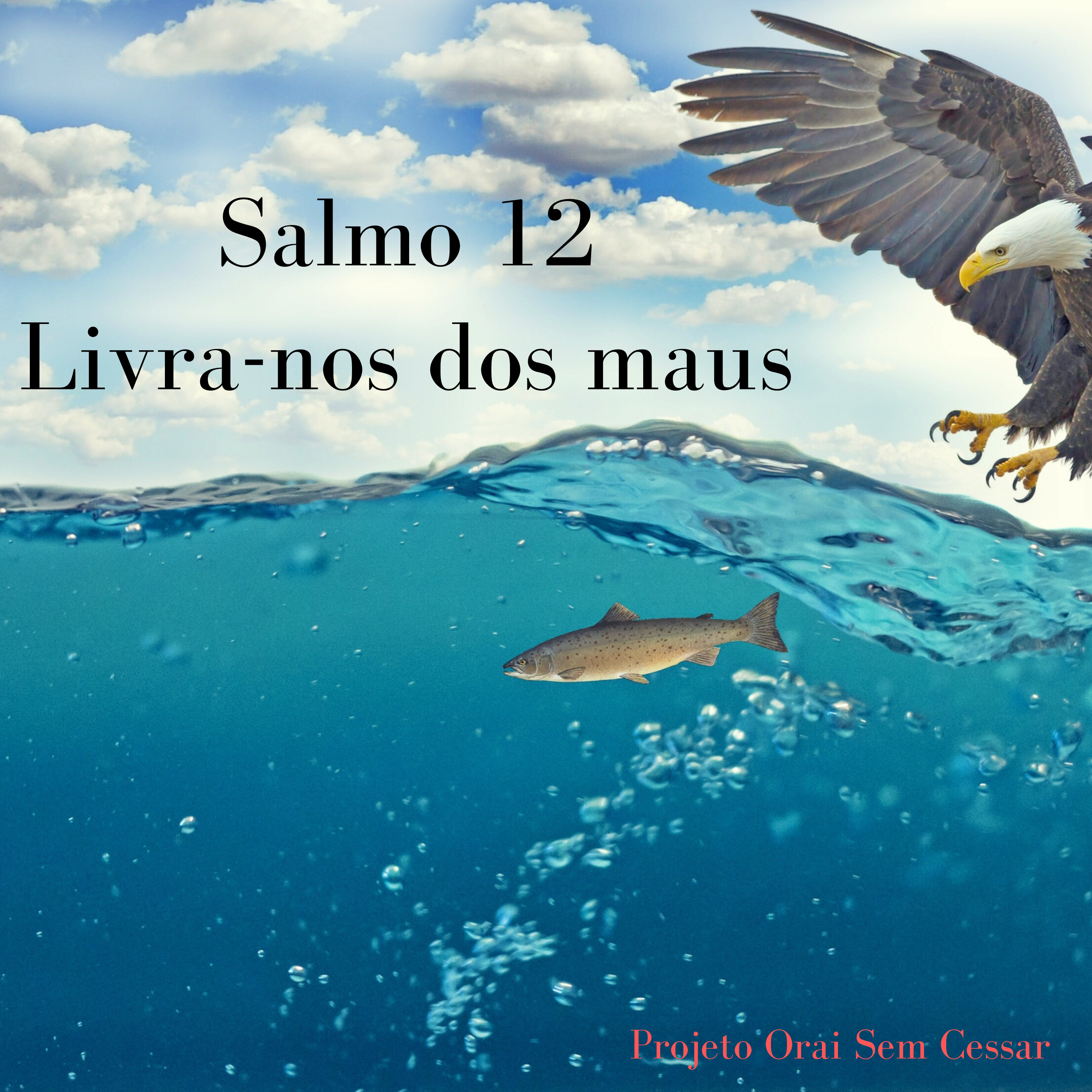 Salmo 12 Pedindo a Deus que nos livre dos maus e de todos os que nos enganam episode artwork