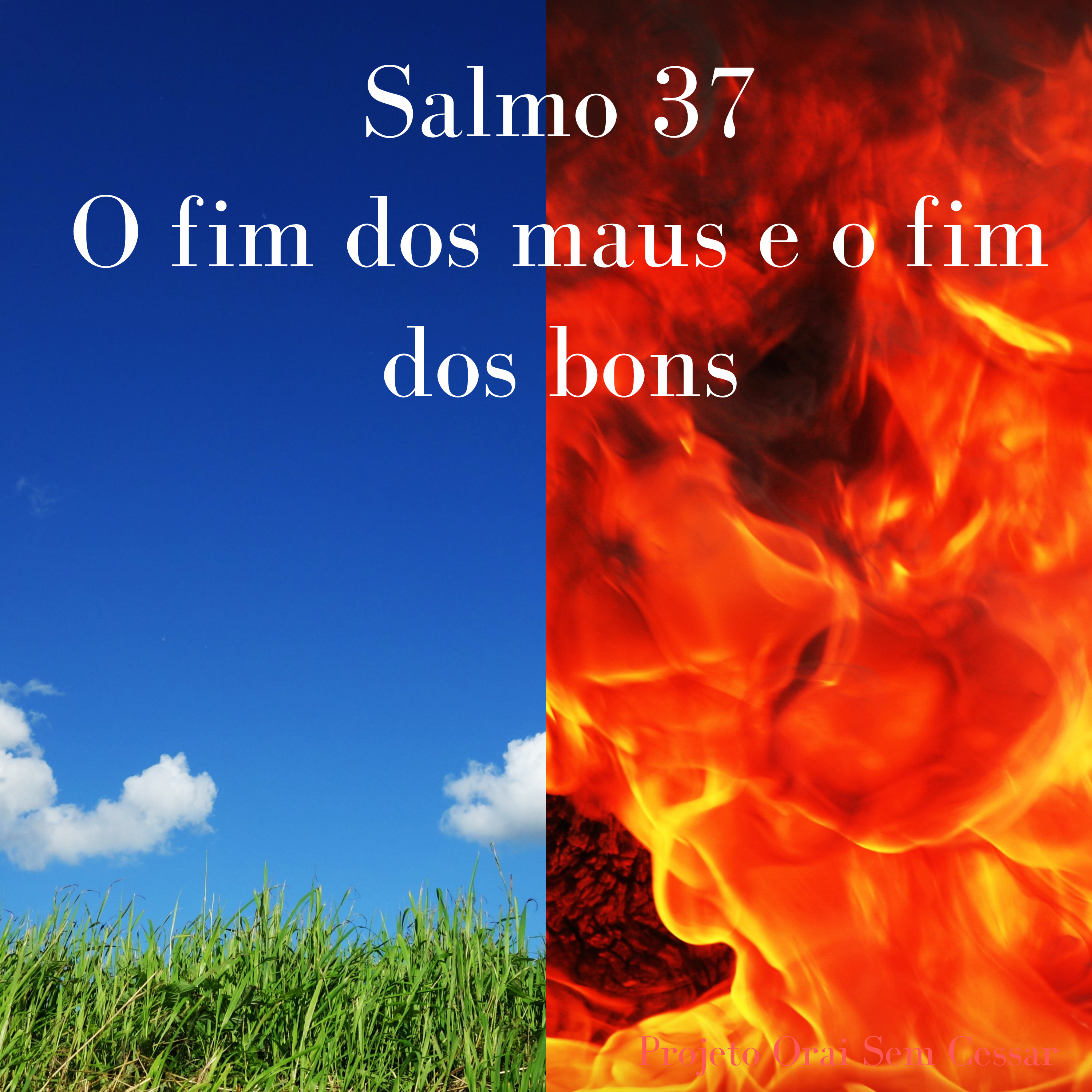  Salmo 37 Pedindo a Deus sobre a nossa vida financeira, e entender como o Senhor trata os bons e os maus episode artwork