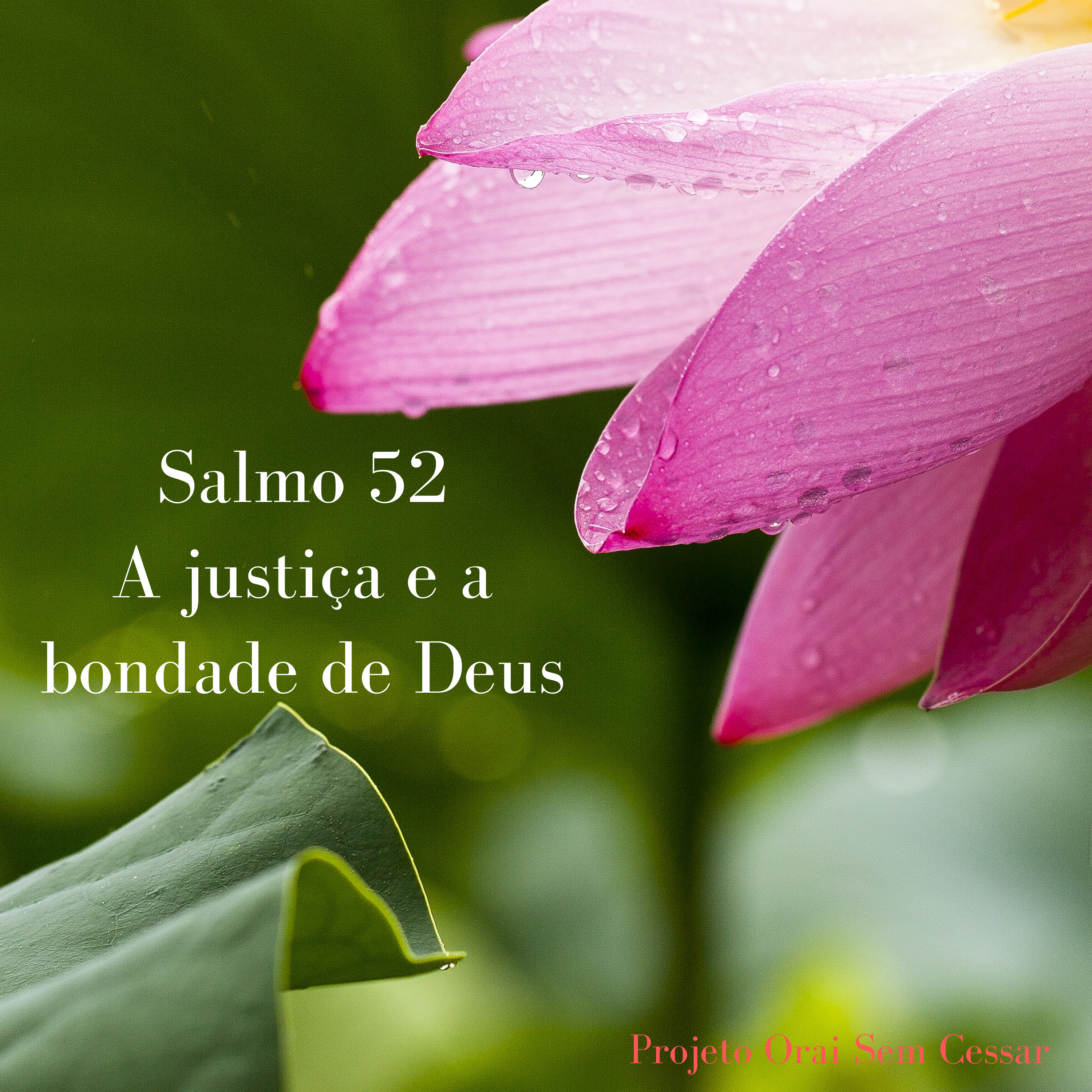 Salmo 52 Porque temos crescido em graça e conhecimento de Deus episode artwork