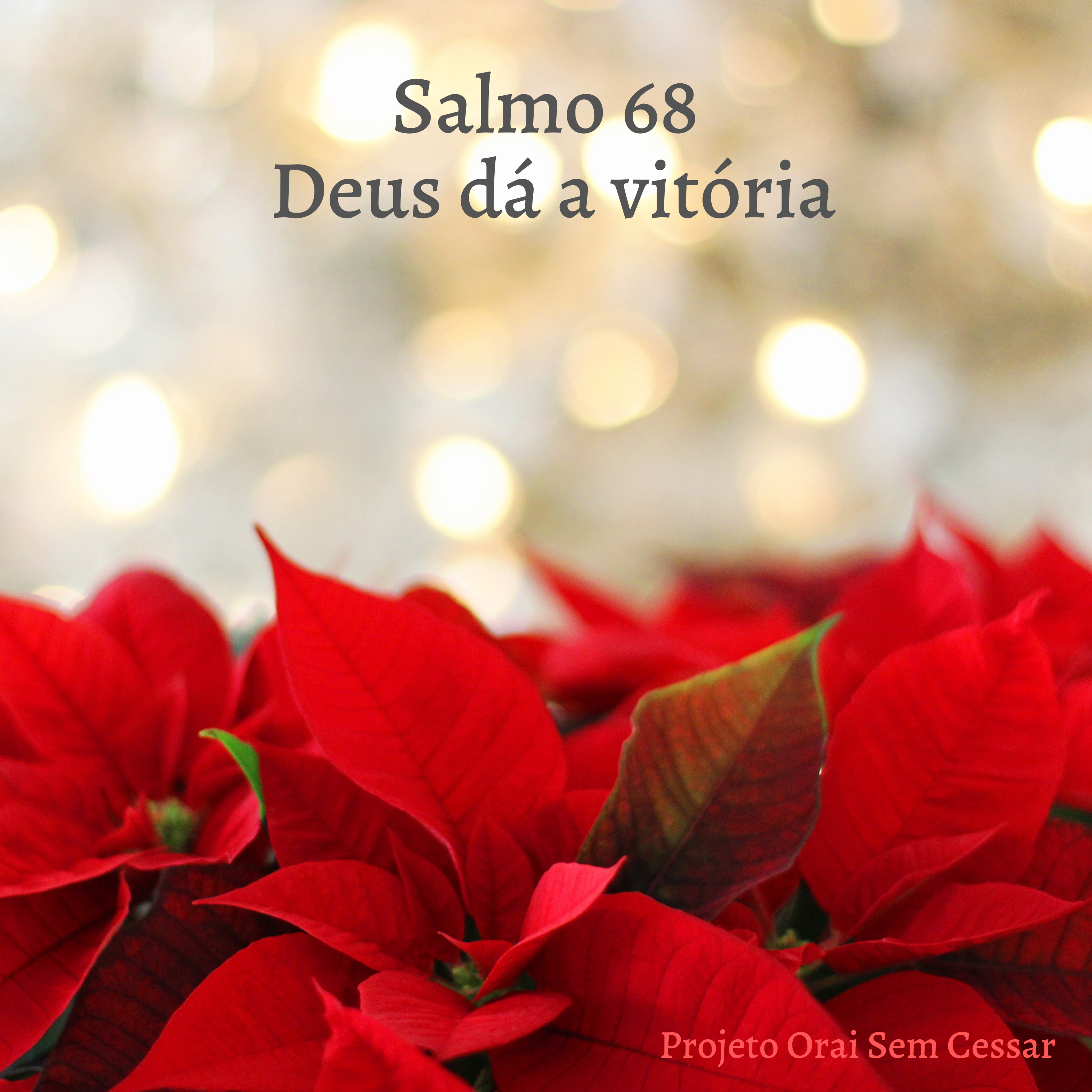 Salmo 68 Louvando a Deus porque o Verbo se fez carne e habitou entre nós episode artwork
