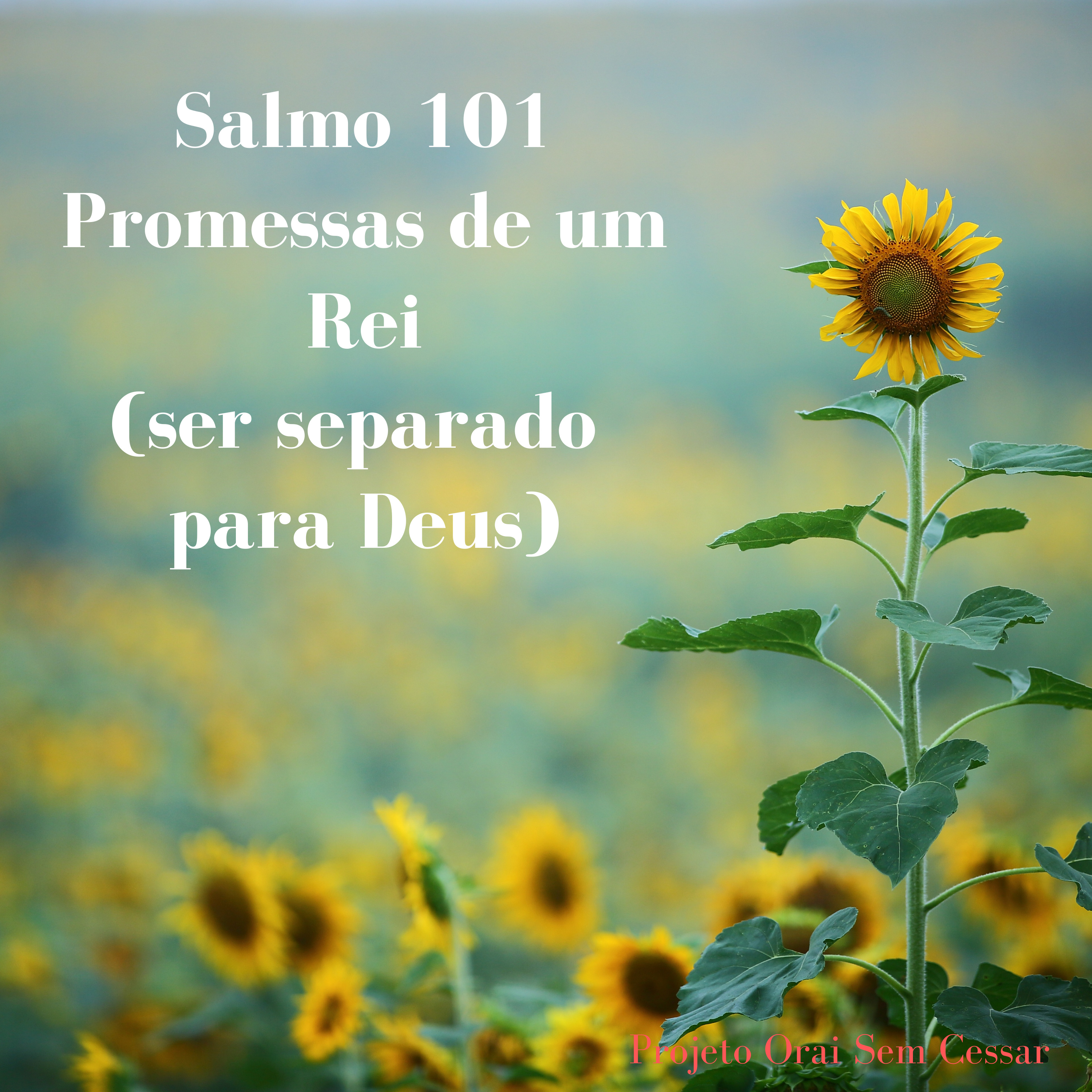 Salmo 101 Oração pedindo a Deus para sermos separados para ele episode artwork