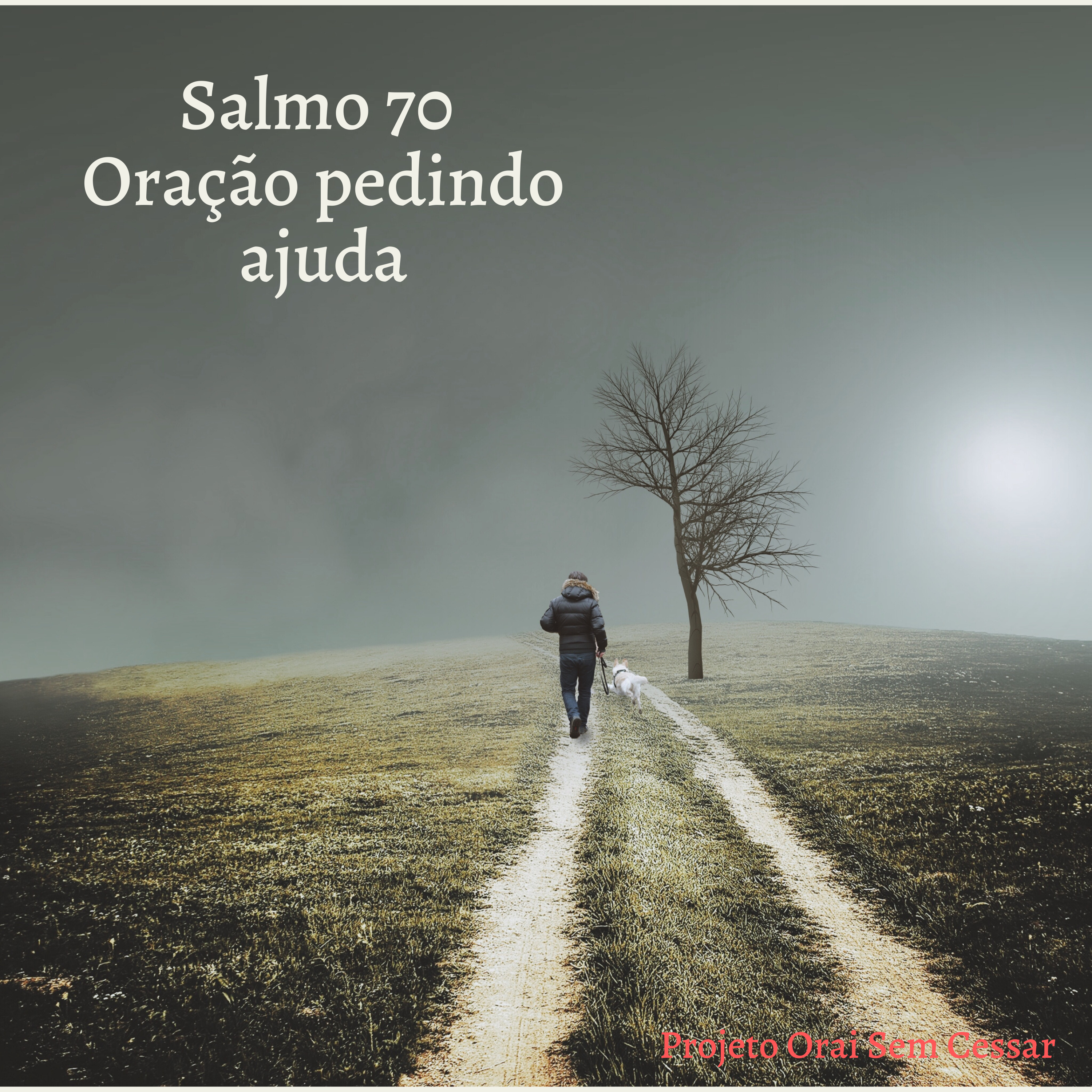 Salmo 70 Pedindo pelas orações que ainda não nos foi respondida e agradecendo pelas respostas alcançadas. episode artwork