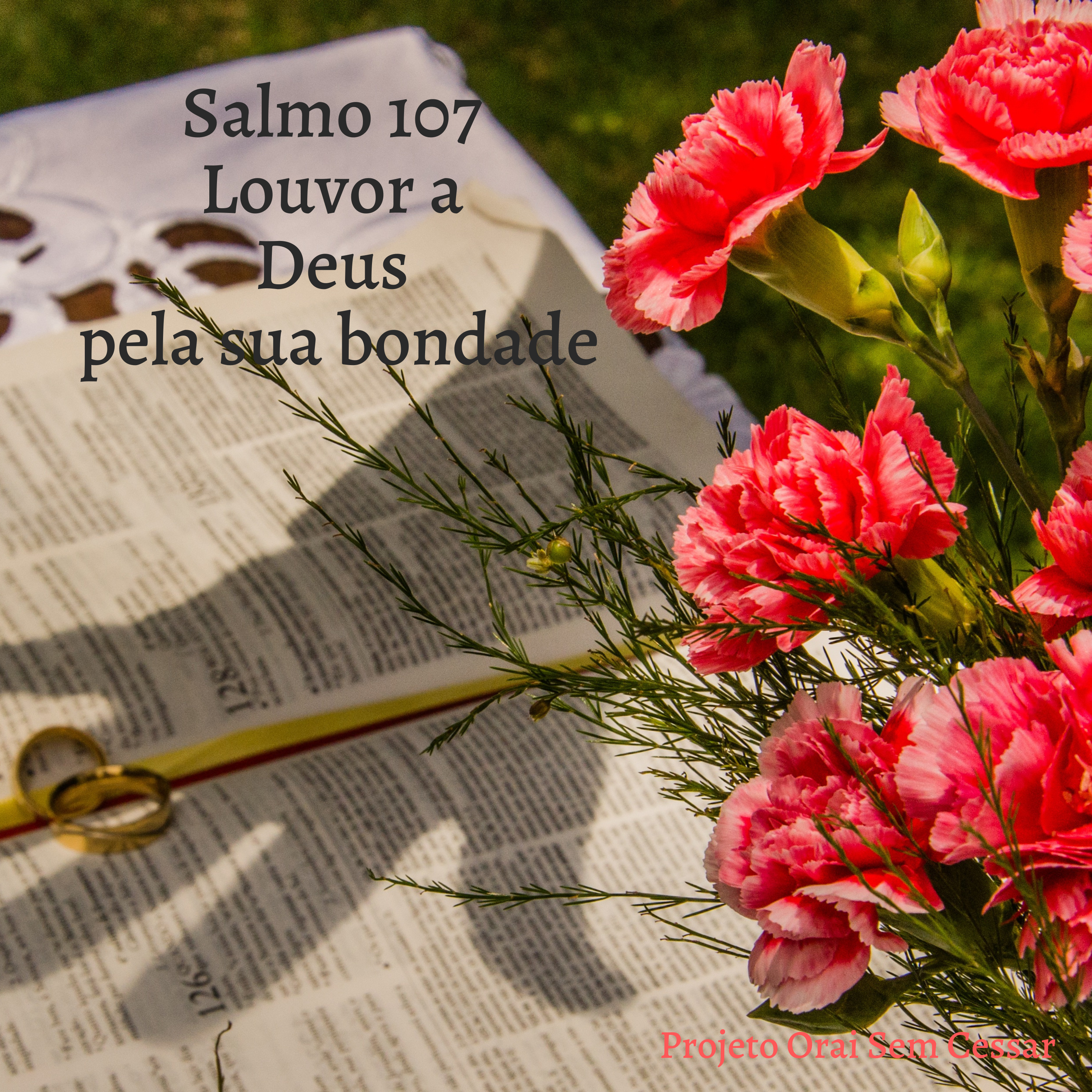Salmo 107 Pedindo ao Senhor a estabilidade da família, orando principalmente por mulheres que sofrem dentro dos seus próprios lares. episode artwork