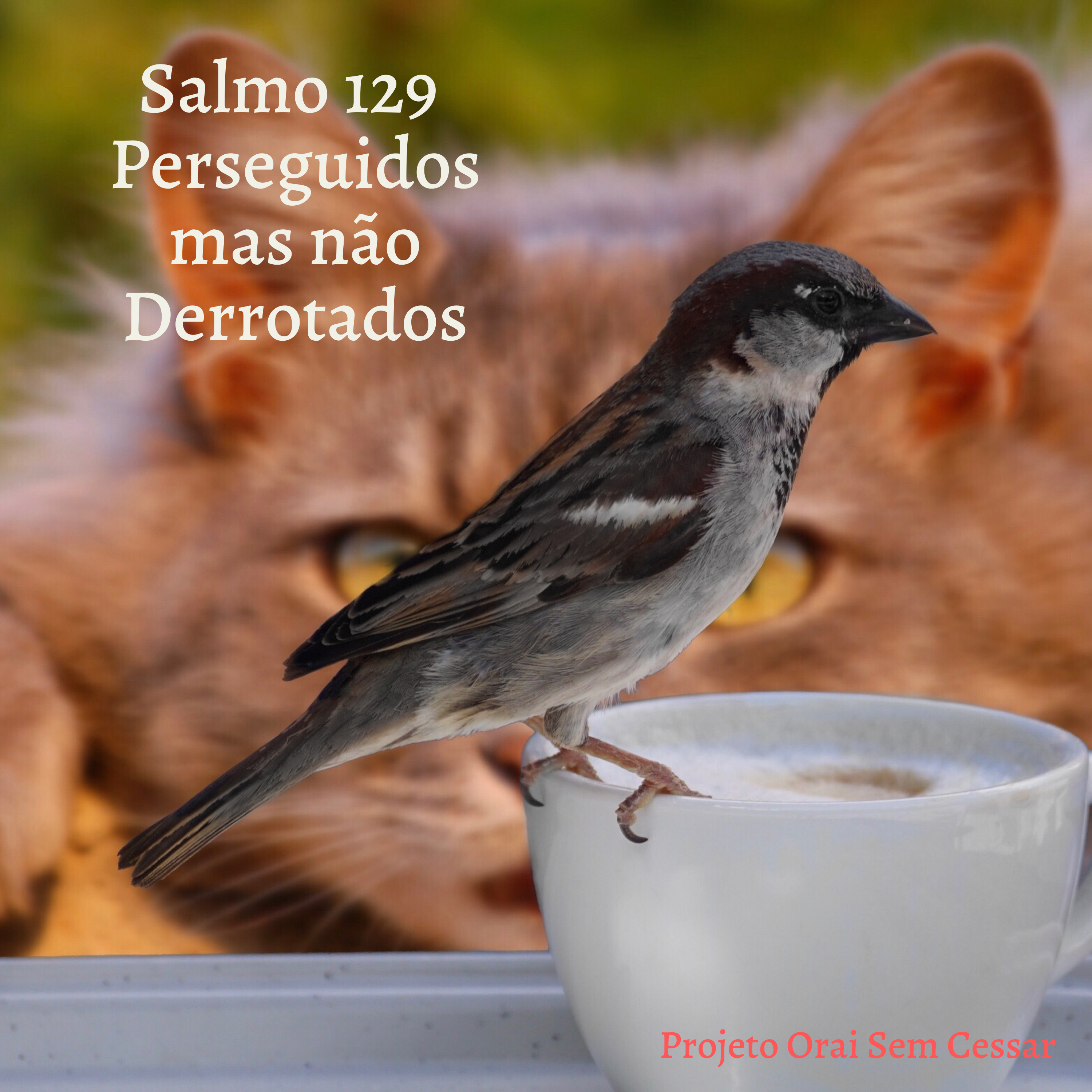 Salmo 129 Perseguidos, mas não derrotados, pois servimos a um Deus que cuida. episode artwork