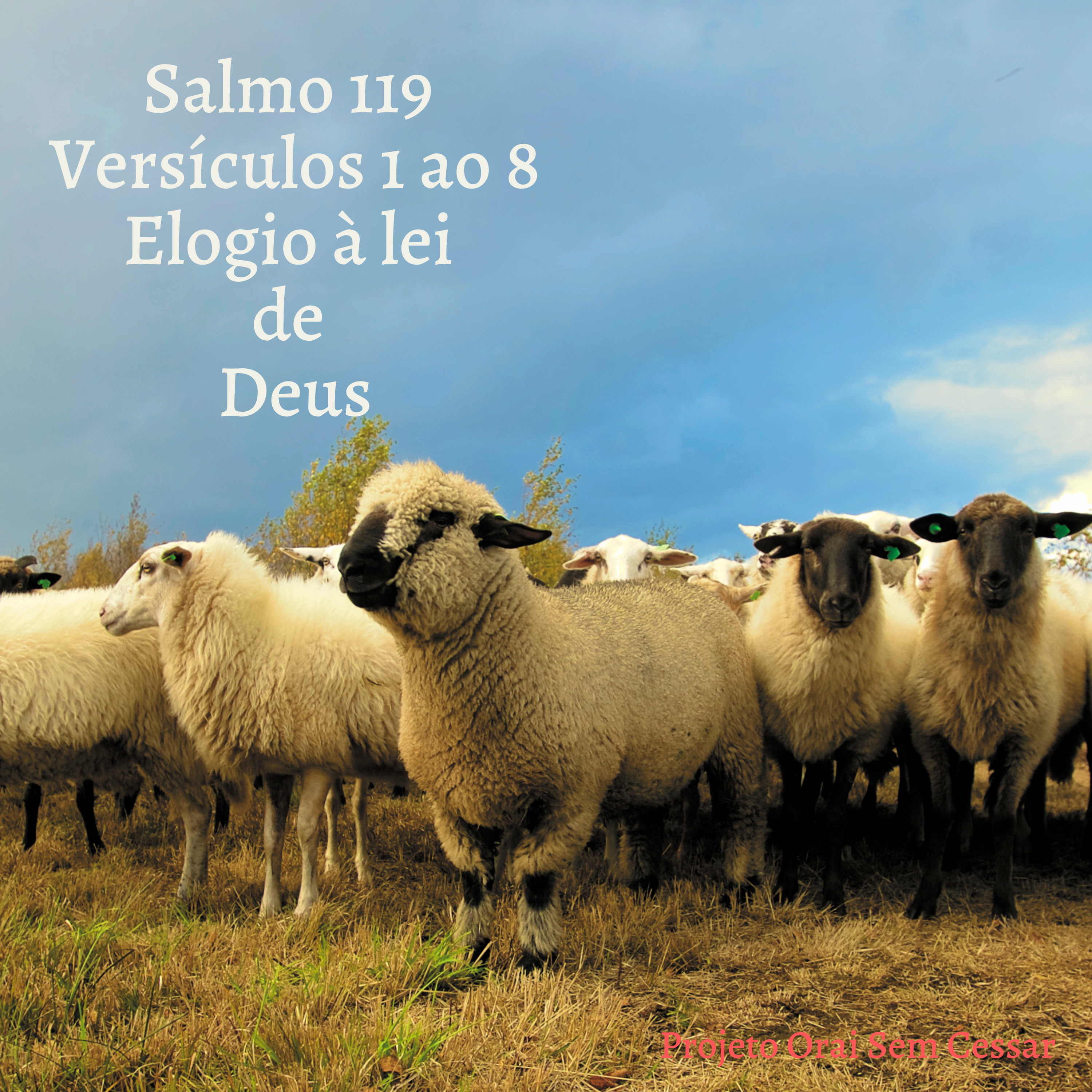 Salmo 119 do versículo 1 ao 8 Pedindo a Deus perdão para que a sua ira cesse sobre a terra.  episode artwork