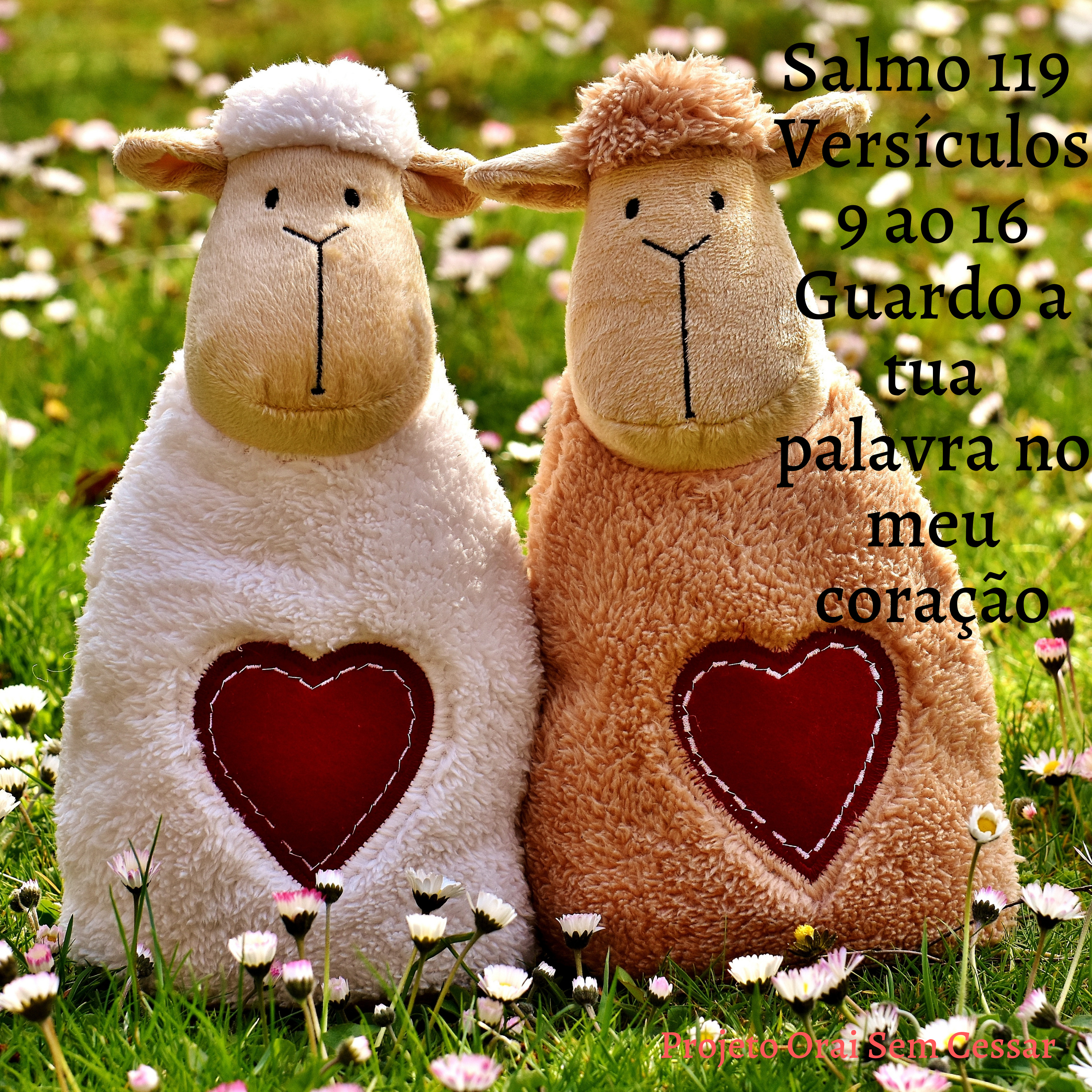 Salmo 119 do versículo 9 ao 16 Guardo a tua palavra no meu coração episode artwork