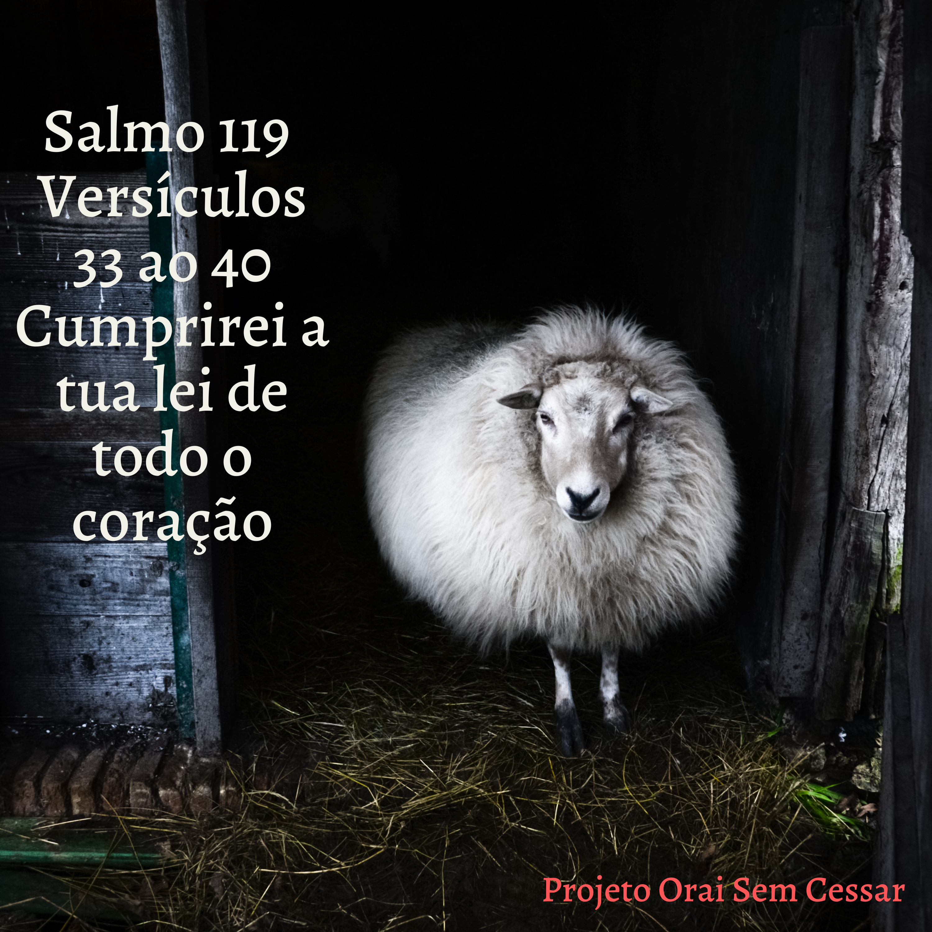 Salmo 119 do versículo 33 ao 40 Cumprirei a tua lei de todo o coração episode artwork