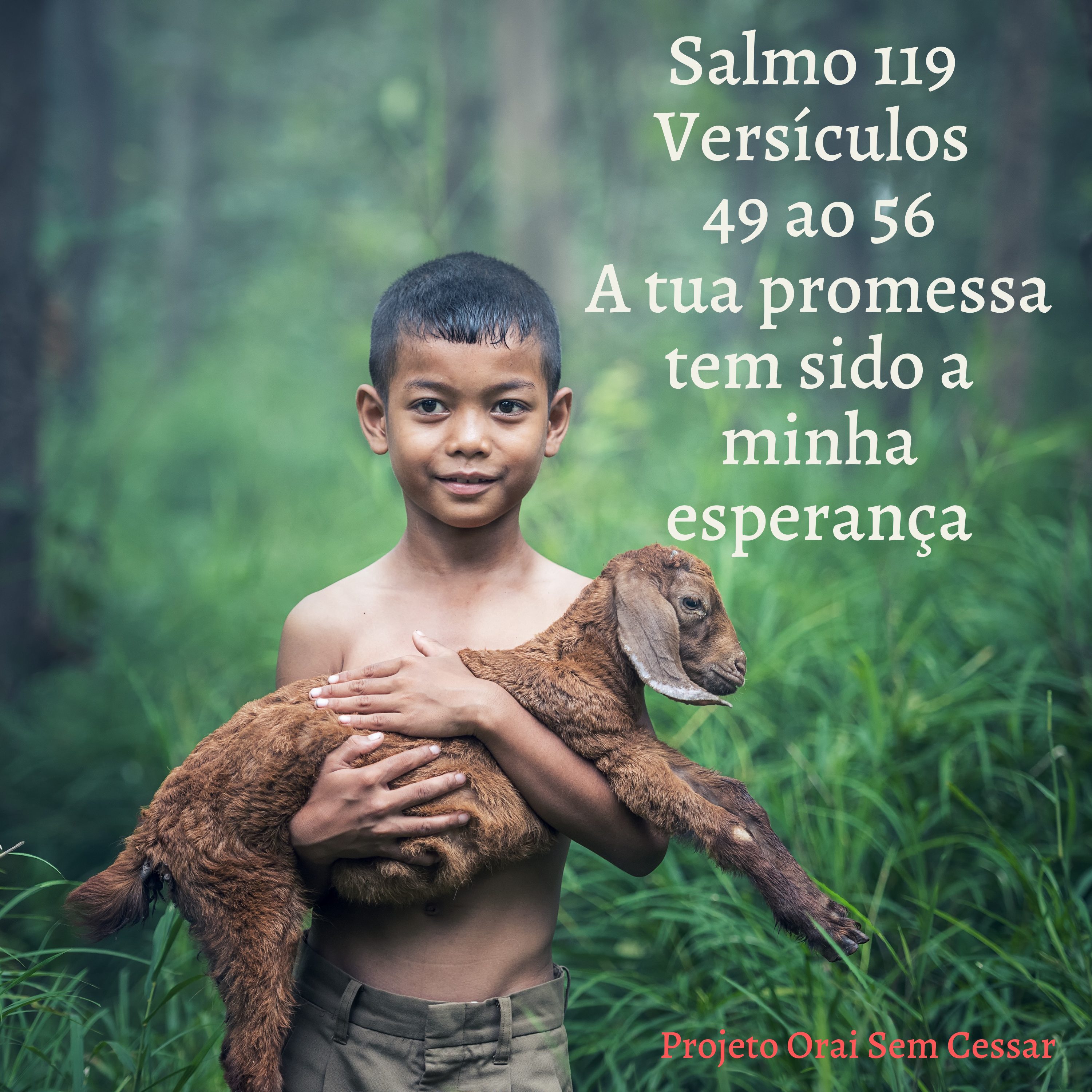 Salmo 119 do versículo 49 ao 56 A tua promessa tem sido a minha esperança episode artwork