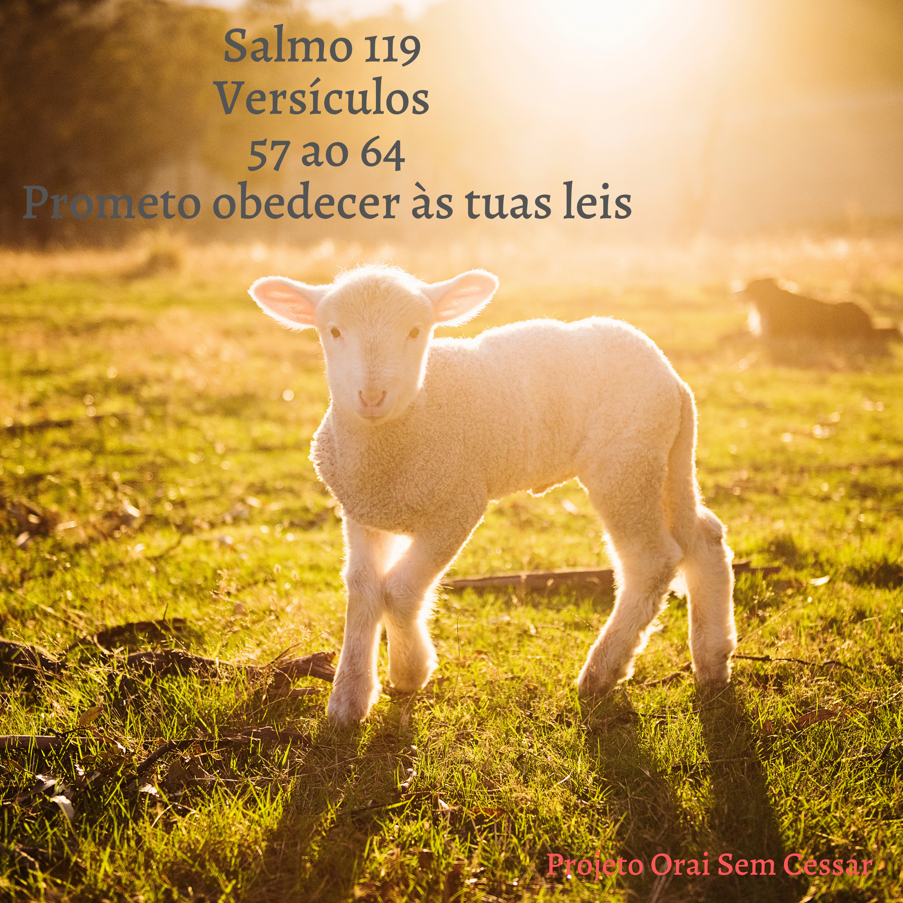 Salmo 119 do versículo 57 ao 64 Prometo obedecer às tuas leis episode artwork