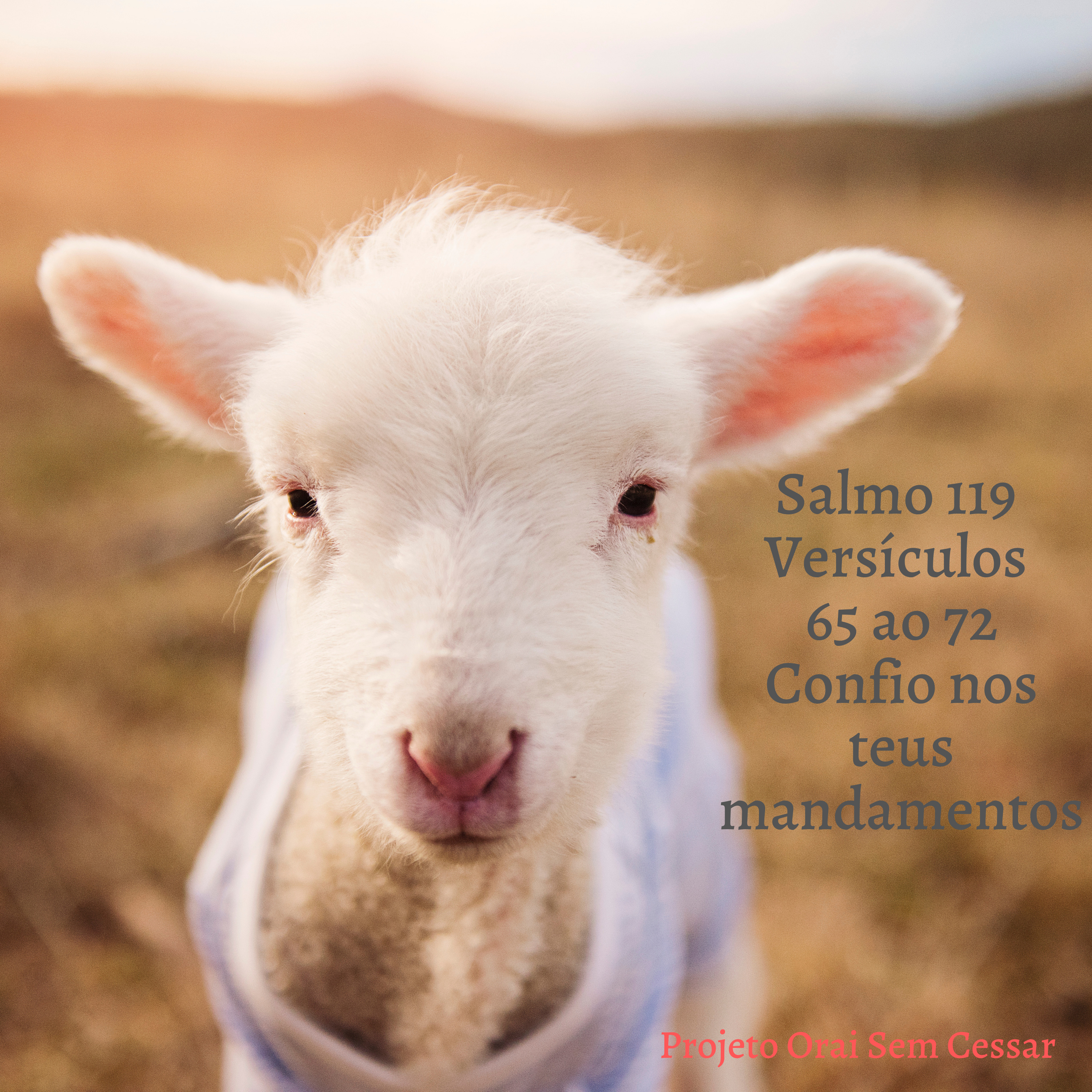 Salmo 119 do versículo 65 ao 72 Confio nos teus mandamentos episode artwork