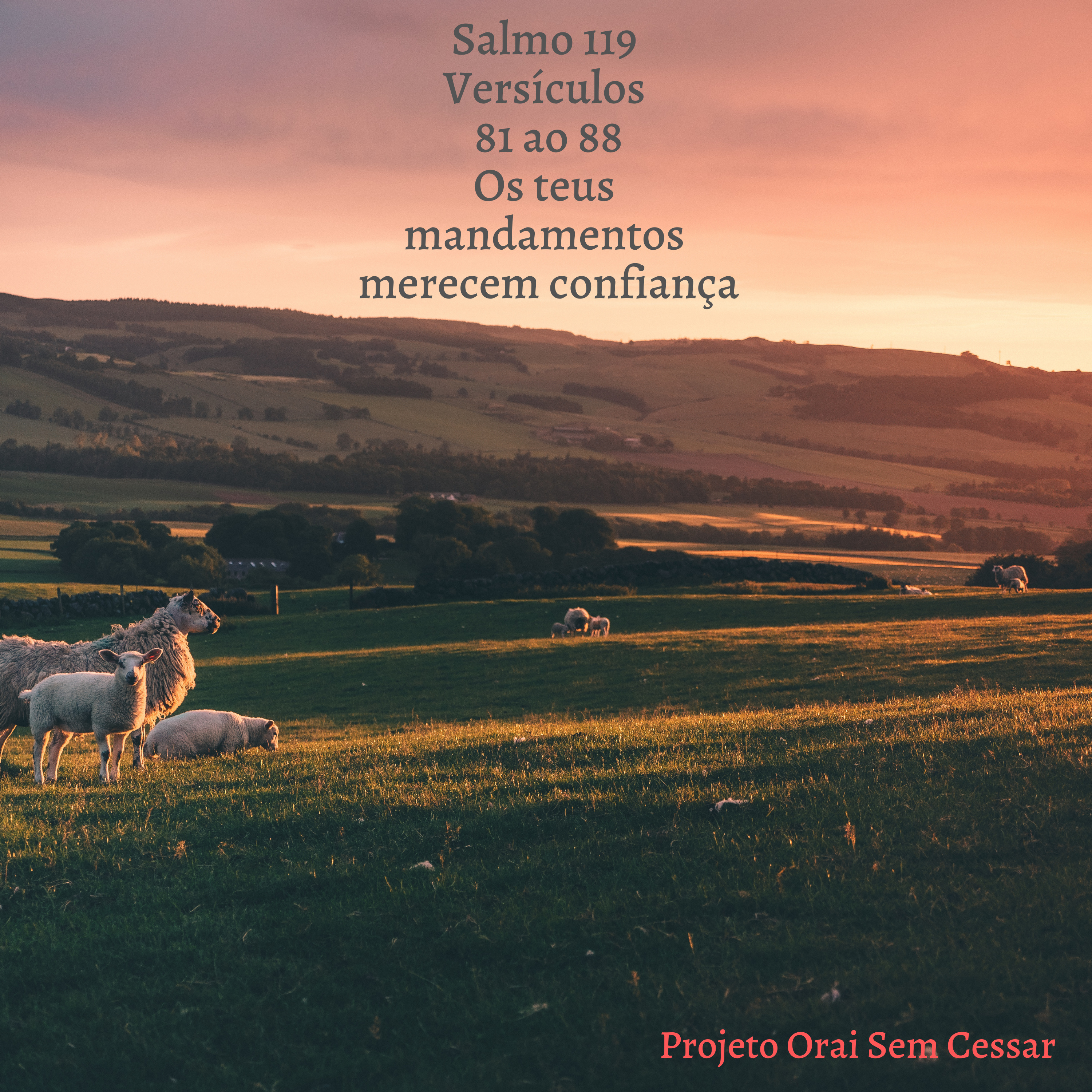 Salmo 119 do versículo 81 ao 88 Os teus mandamentos merecem confiança episode artwork