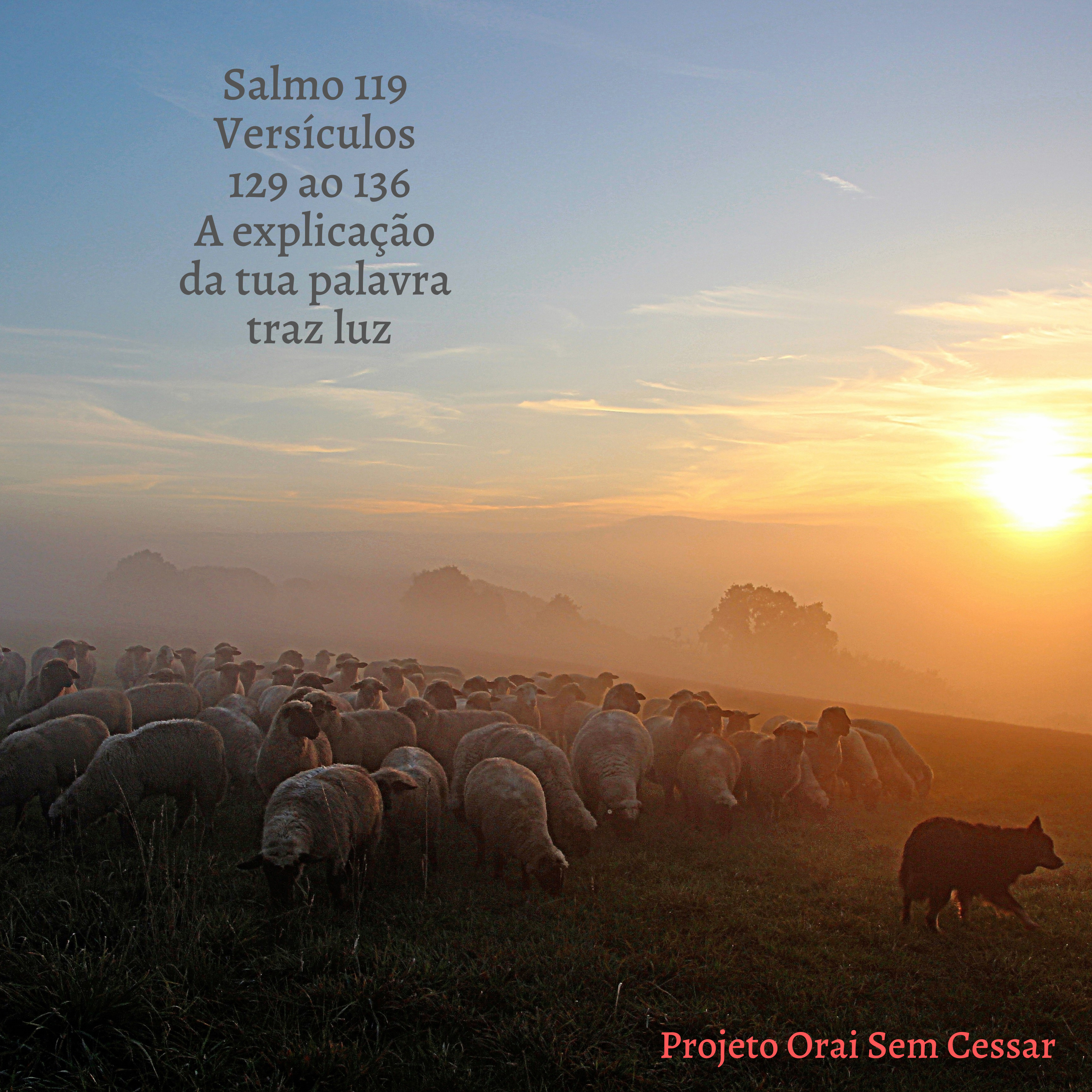 Salmo 119 do versículo 129 ao 136 A explicação da tua palavra traz luz episode artwork