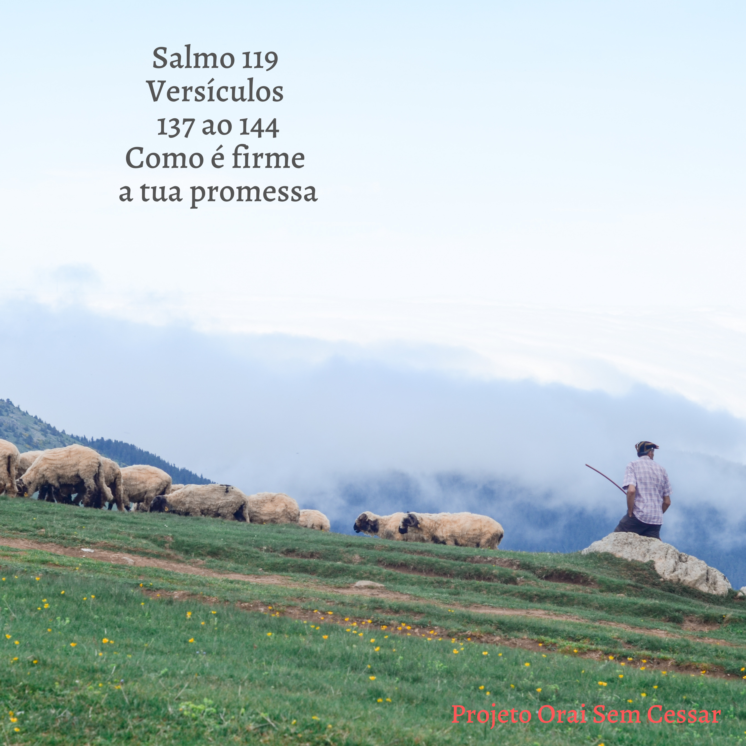 Salmo 119 do versículo 137 ao 144 Como é firme a tua promessa! episode artwork