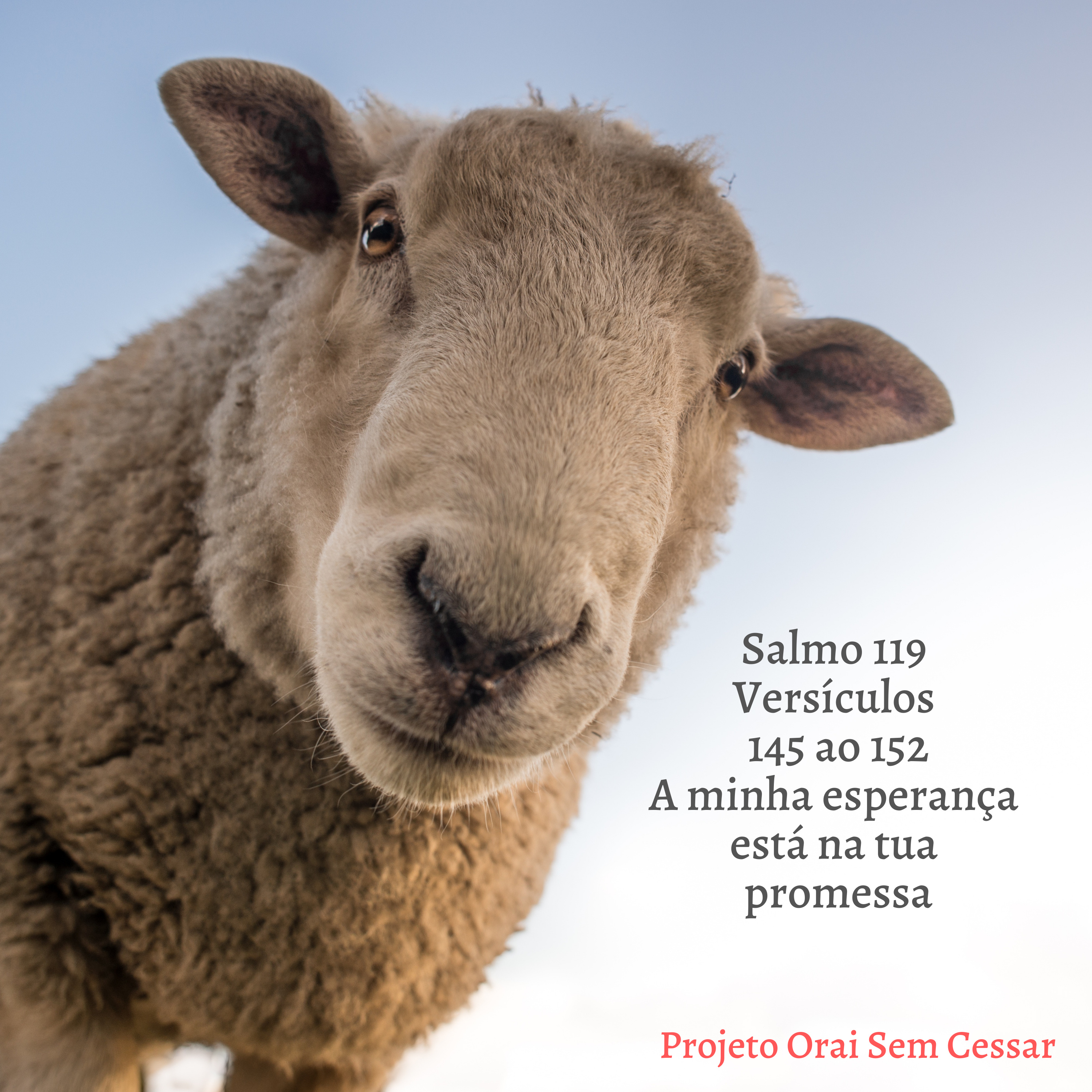 Salmo 119 do versículo 145 ao 152 A minha esperança está na tua promessa episode artwork