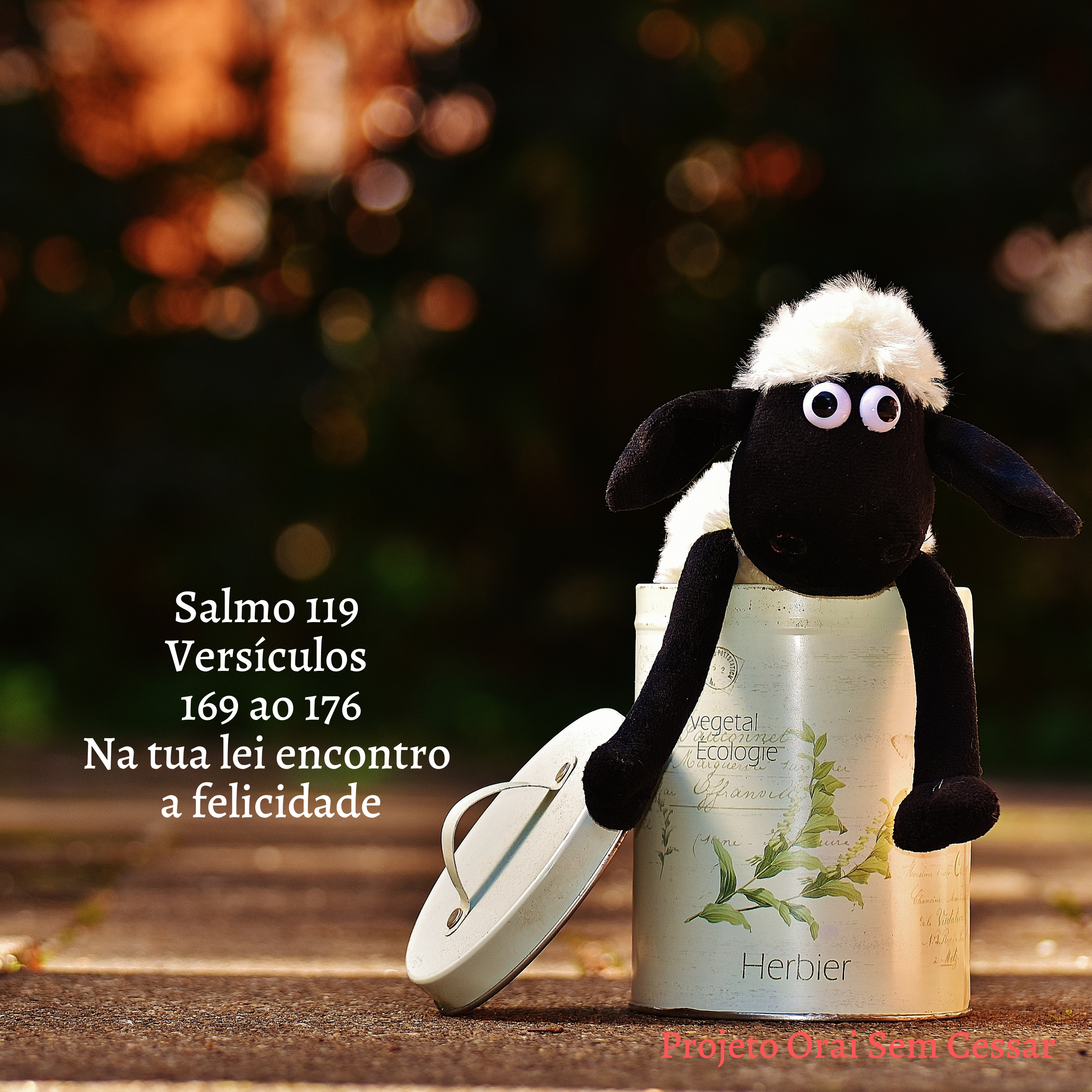 Salmo 119 do versículo 169 ao 176 Na tua lei encontro a felicidade episode artwork