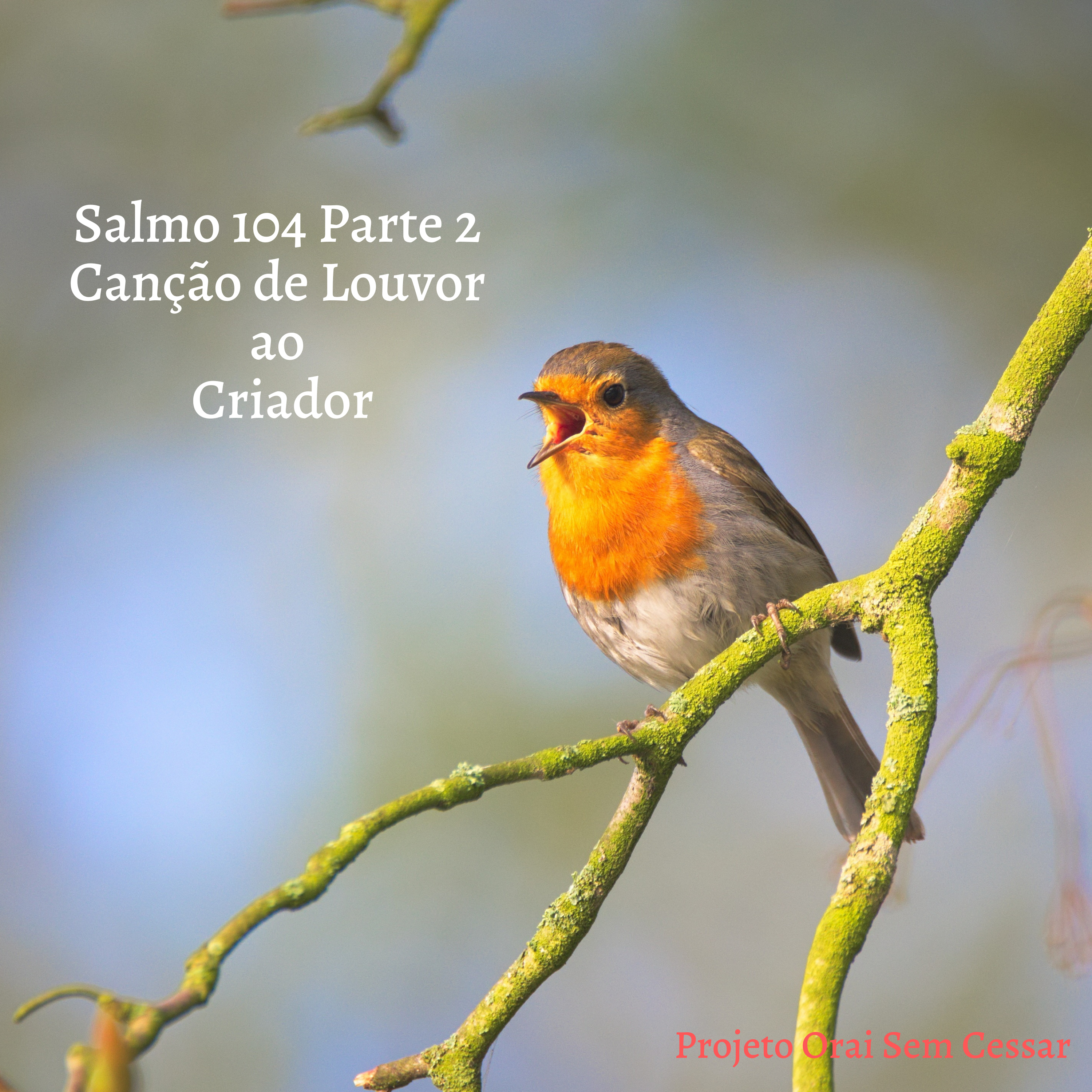Salmo 104 Parte 2 dos versículos 19 em diante, Adorando a Deus, porque sempre pedimos e nos esquecemos de agradecer. episode artwork