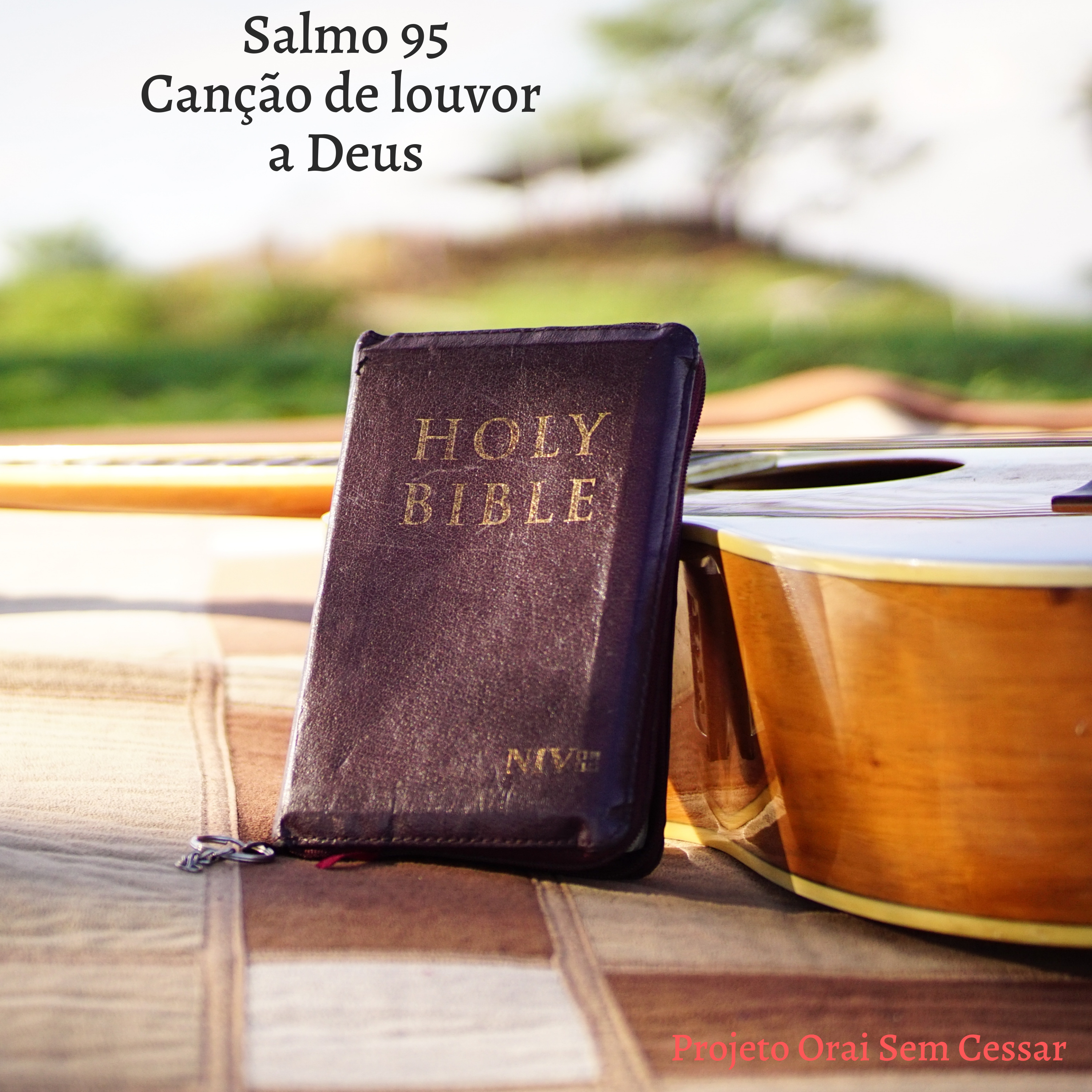 Salmo 95 Agradecendo a Deus por aprender a lidar com os nossos problemas. episode artwork