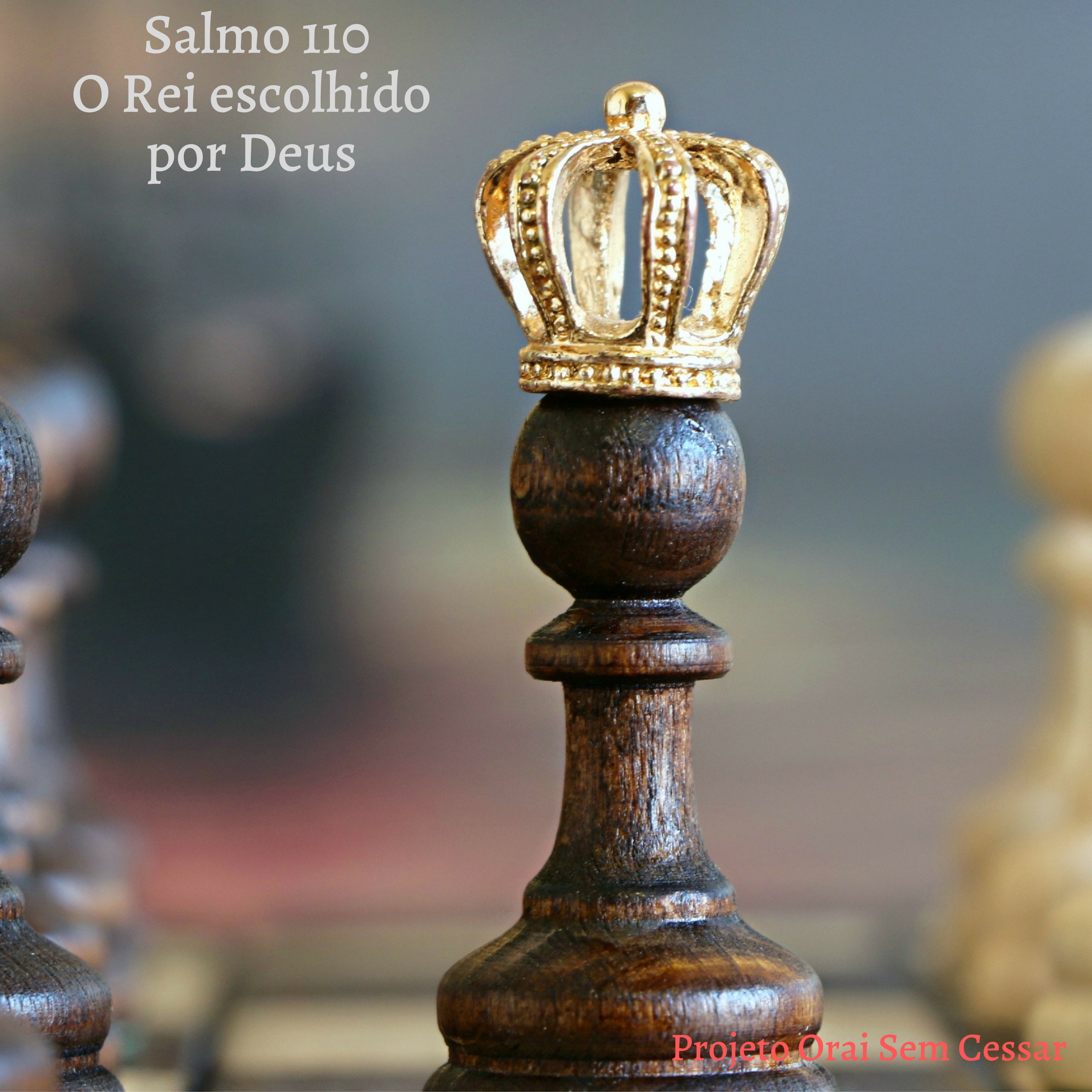 Salmo 110 Porque a palavra nos instrui: Alegrai-vos com os que se alegram; chorai com os que pranteiam. episode artwork