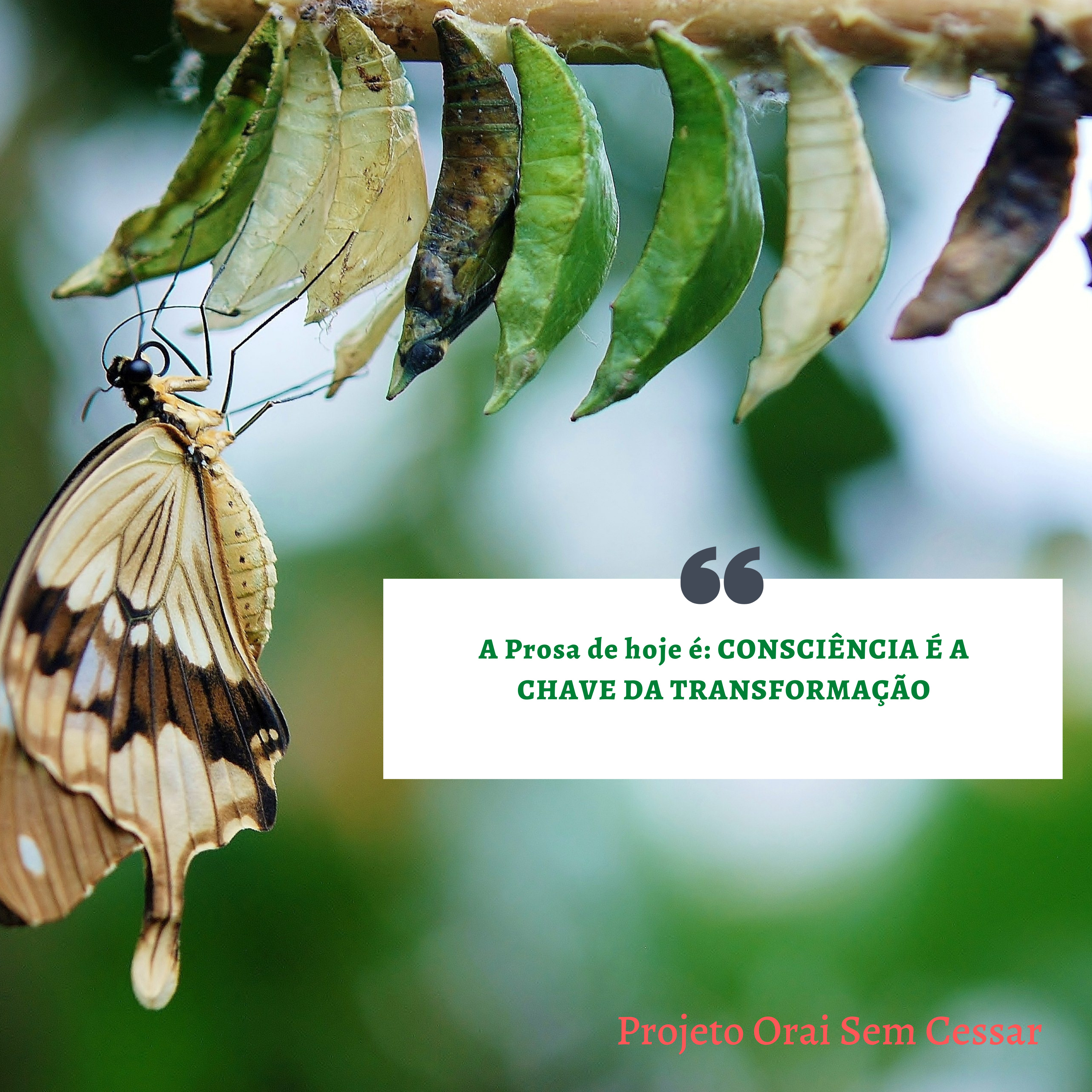 A Prosa de hoje é: CONSCIÊNCIA É A CHAVE DA TRANSFORMAÇÃO. Parte 2 episode artwork