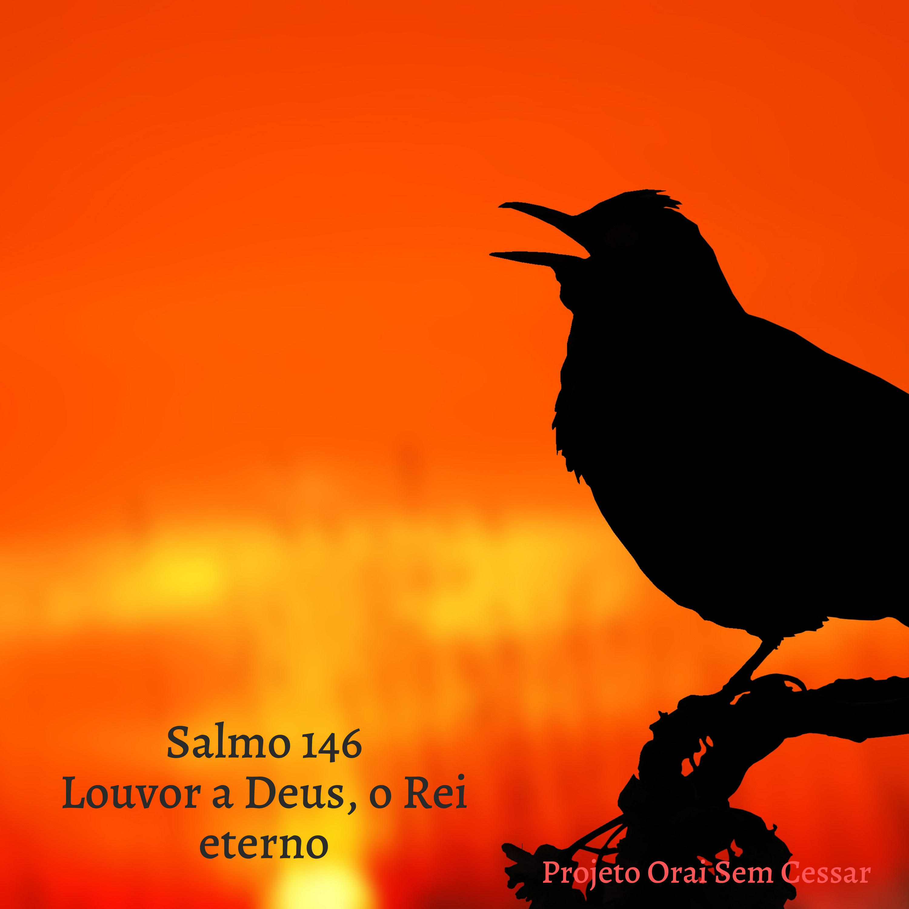 Salmo 146 Louvando a Deus por toda felicidade, regozijo e honra que ele nos concede. episode artwork