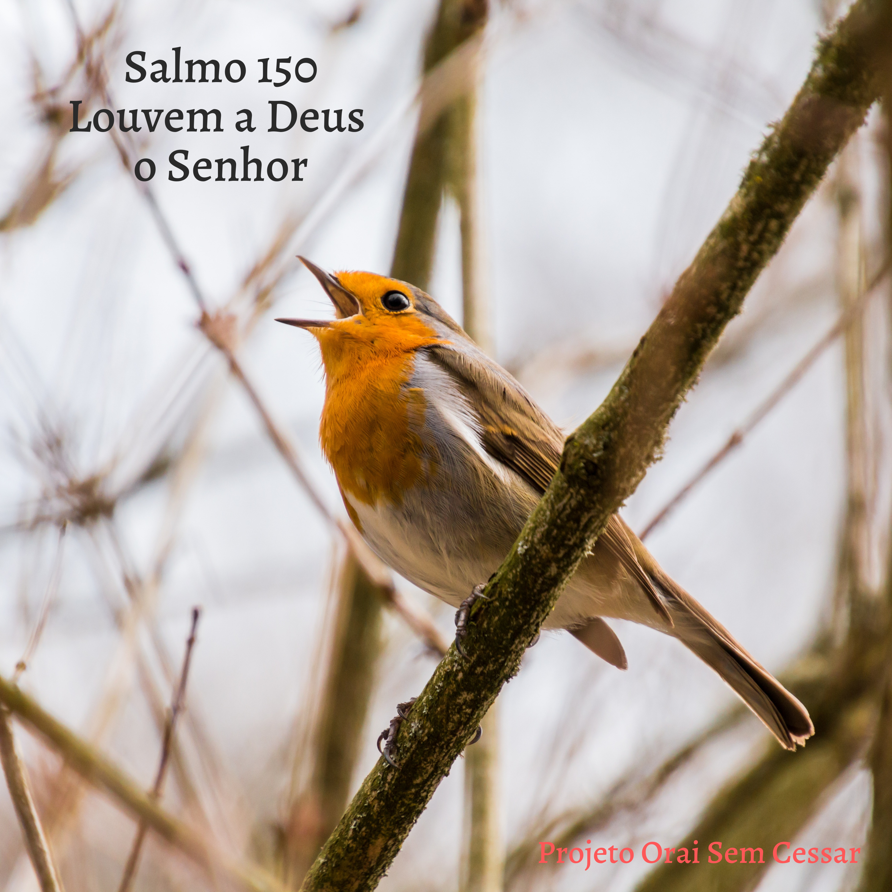  Salmo 150 Entregando nas mãos do Senhor as nossas petições.  episode artwork