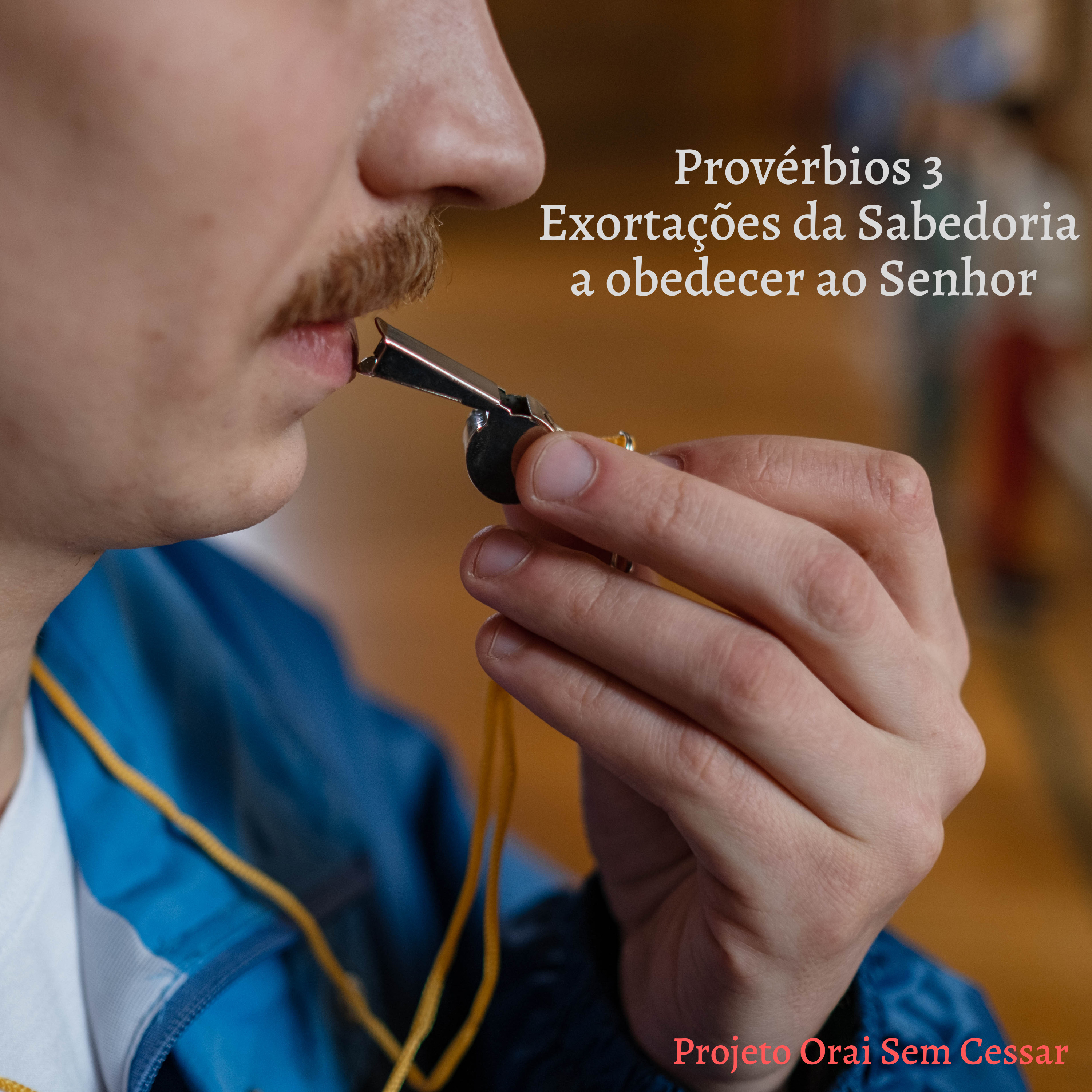 Provébios 3 Exortações da Sabedoria a obedecer ao SENHOR Parte 2 episode artwork