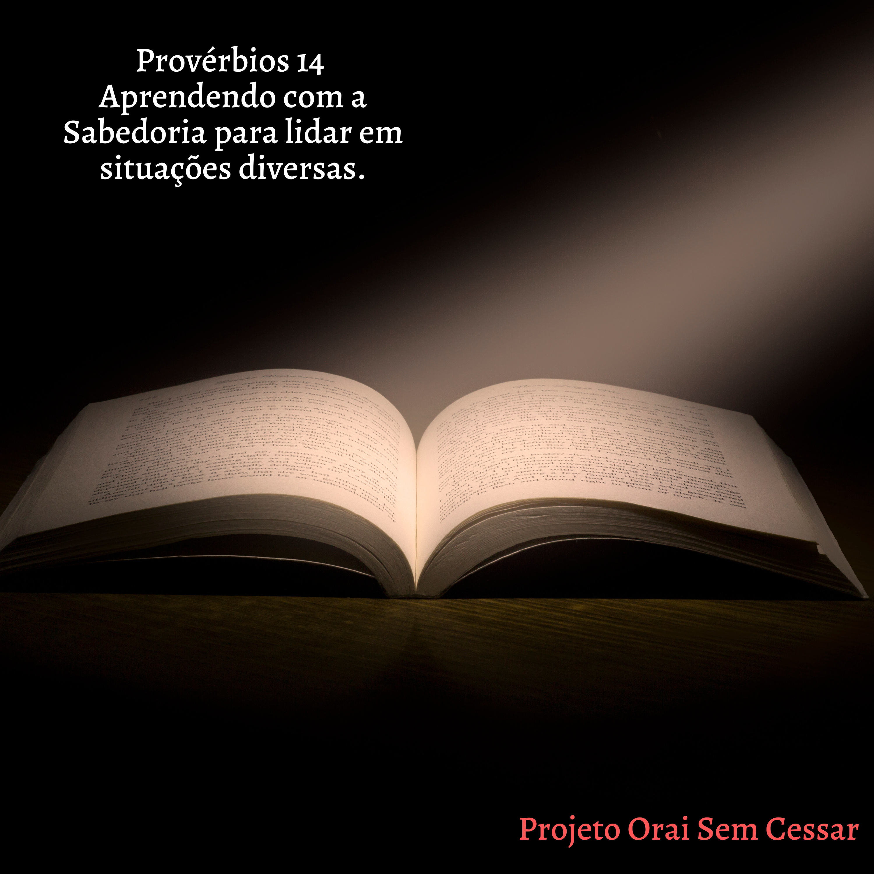 Provérbios 14 Parte 2 Aprendendo com a Sabedoria a esperar no Senhor. episode artwork