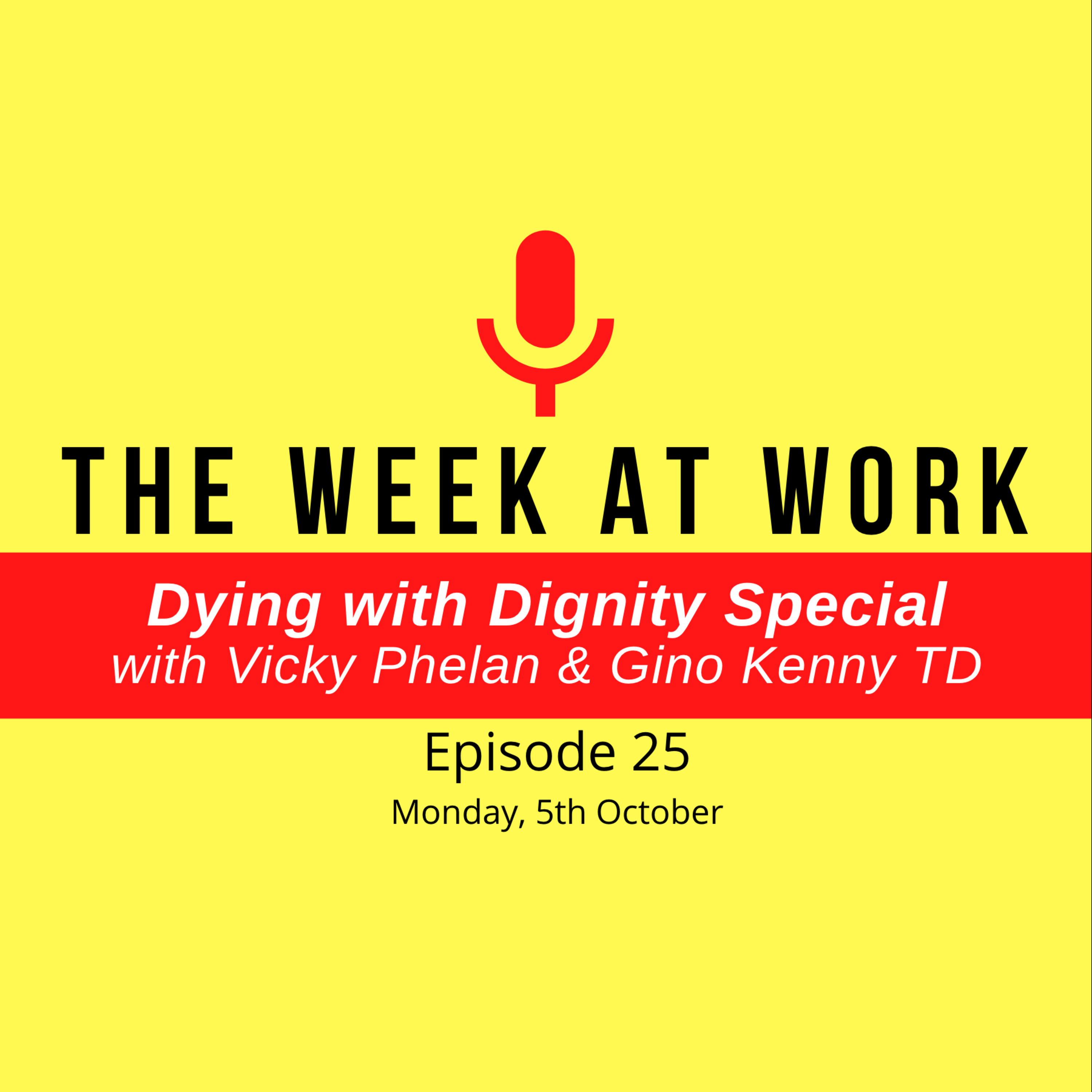25. Dying with Dignity Special with Vicky Phelan & Gino Kenny TD episode artwork