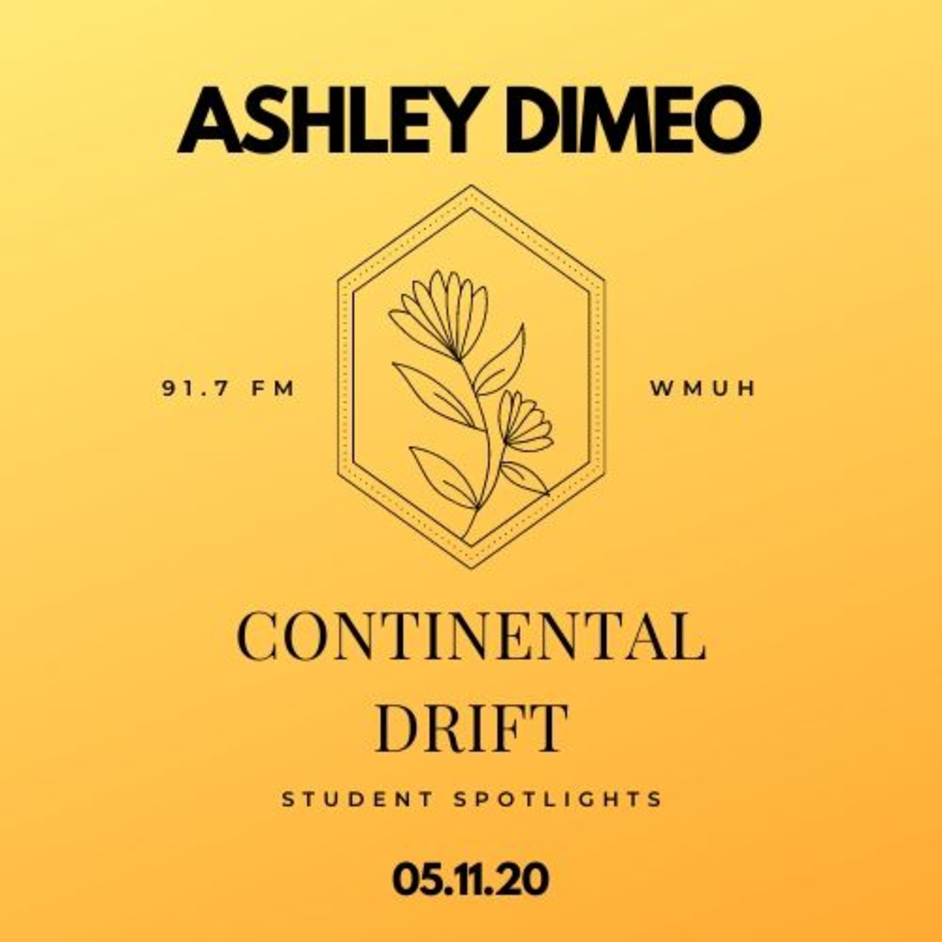 Continental Drift: Student Spotlights