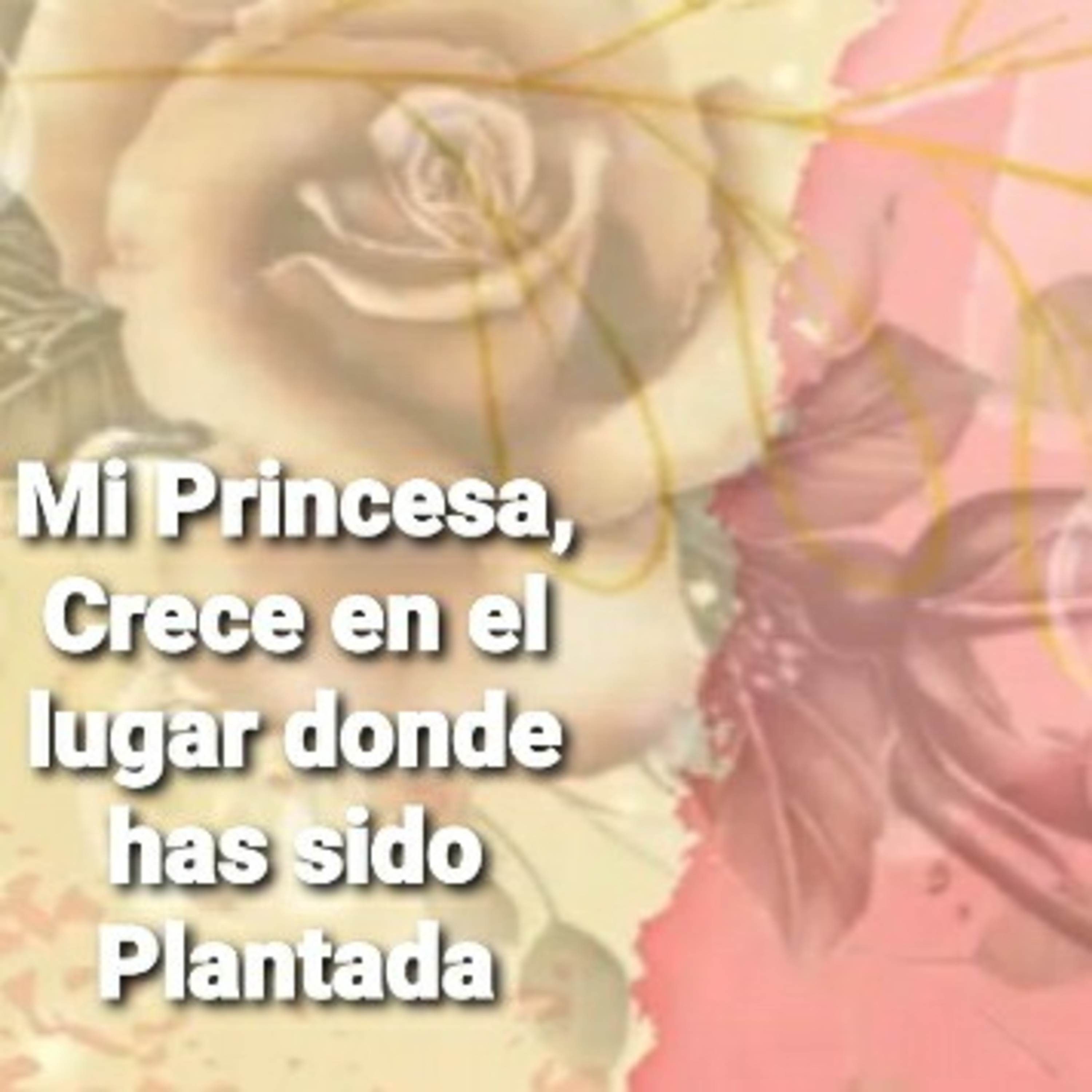 Mi Princesa, CRECE EN EL LUGAR EN QUE HAS SIDO PLANTADA (Sheri Rose) episode artwork