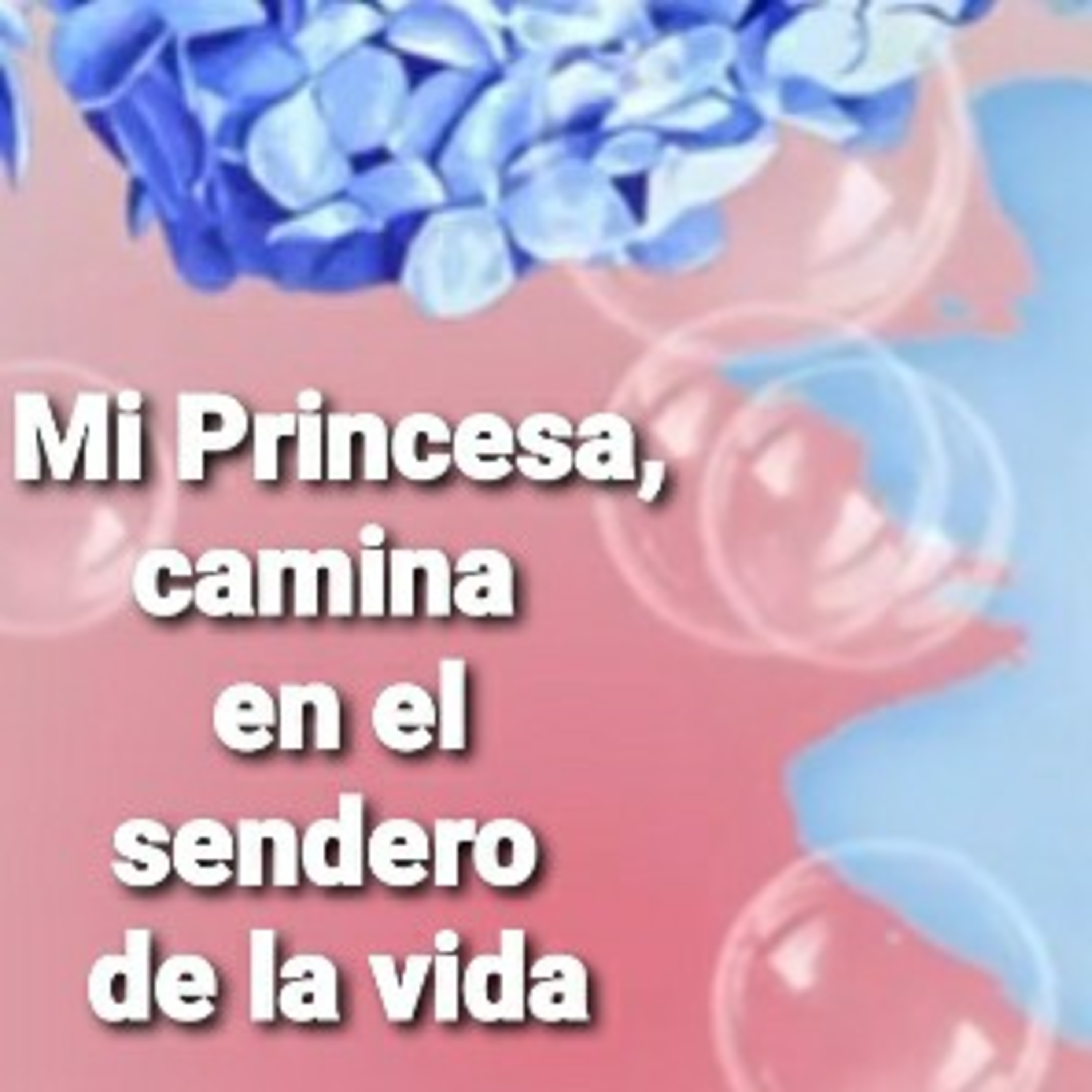 Mi Princesa, CAMINA EN EL SENDERO DE LA VIDA (Sheri Rose) episode artwork