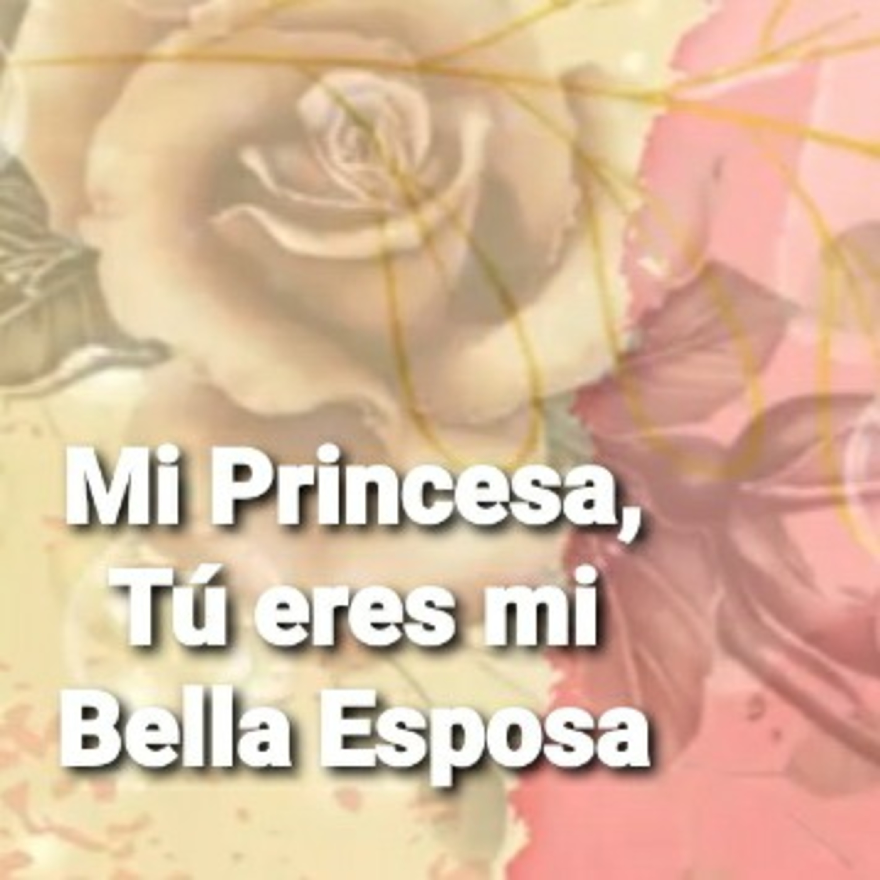 Mi Princesa, TÚ ERES MI BELLA ESPOSA (Sheri Rose) episode artwork