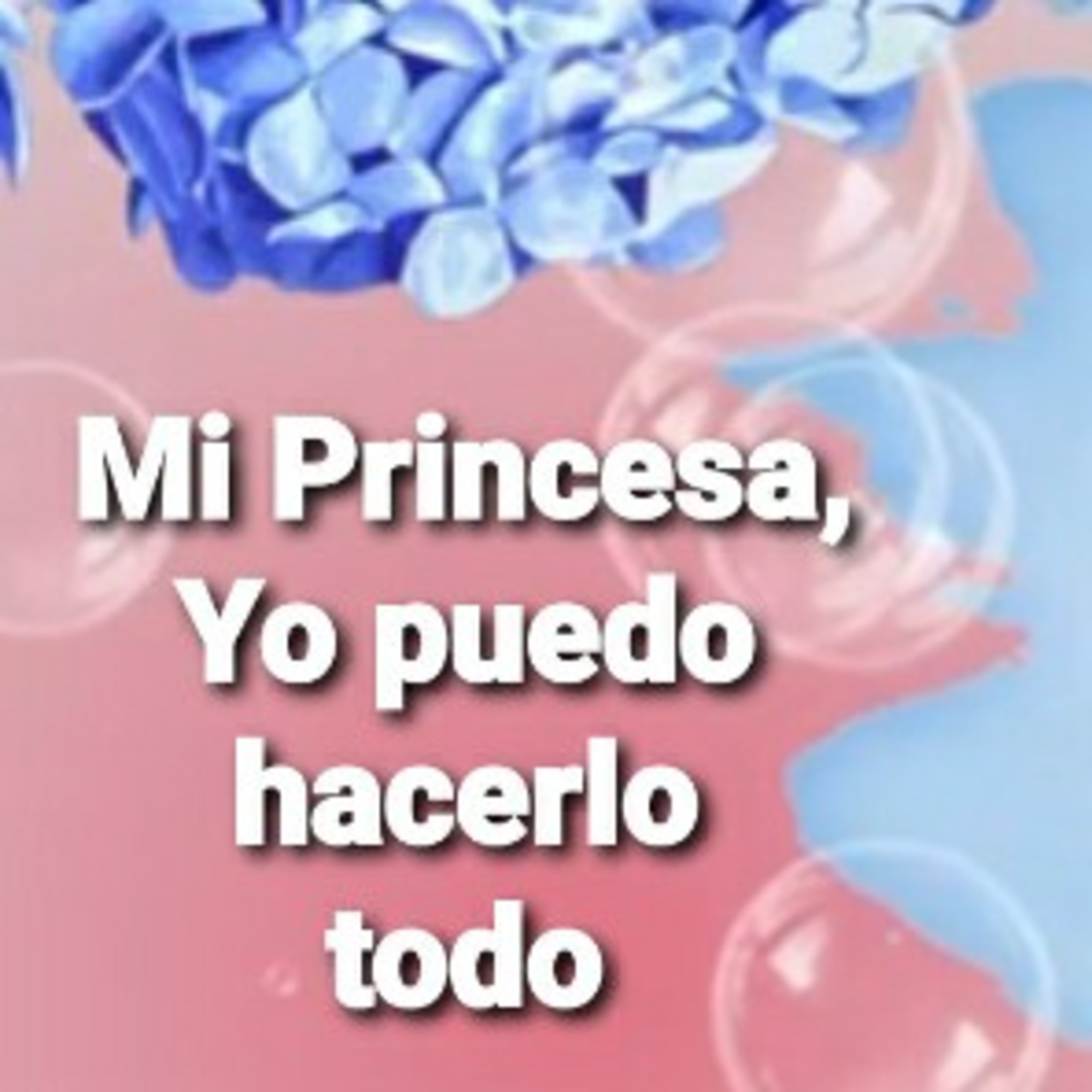 Mi Princesa, YO PUEDO HACERLO TODO (Sheri Rose) episode artwork