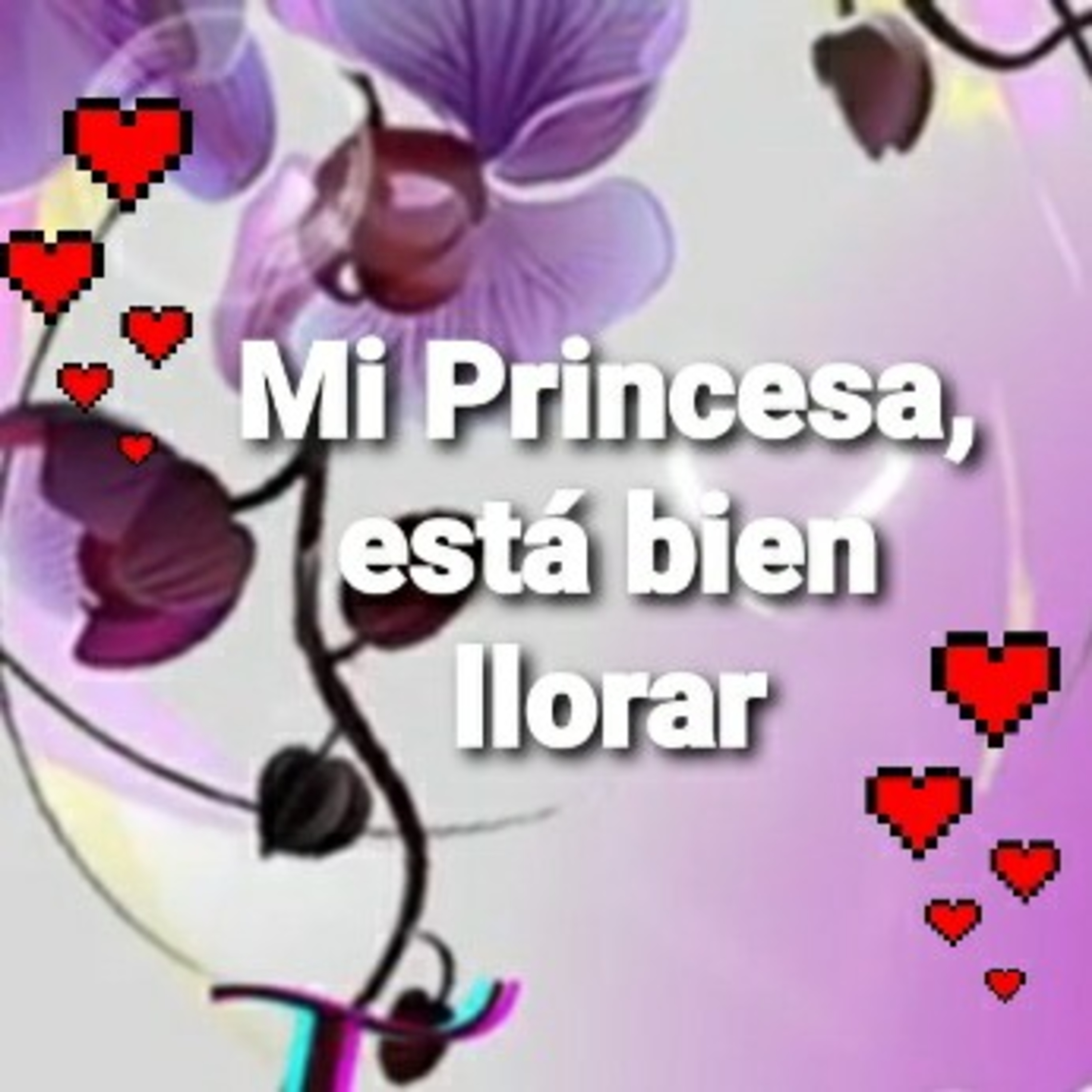 Mi Princesa, ESTÁ BIEN LLORAR (Sheri Rose) episode artwork