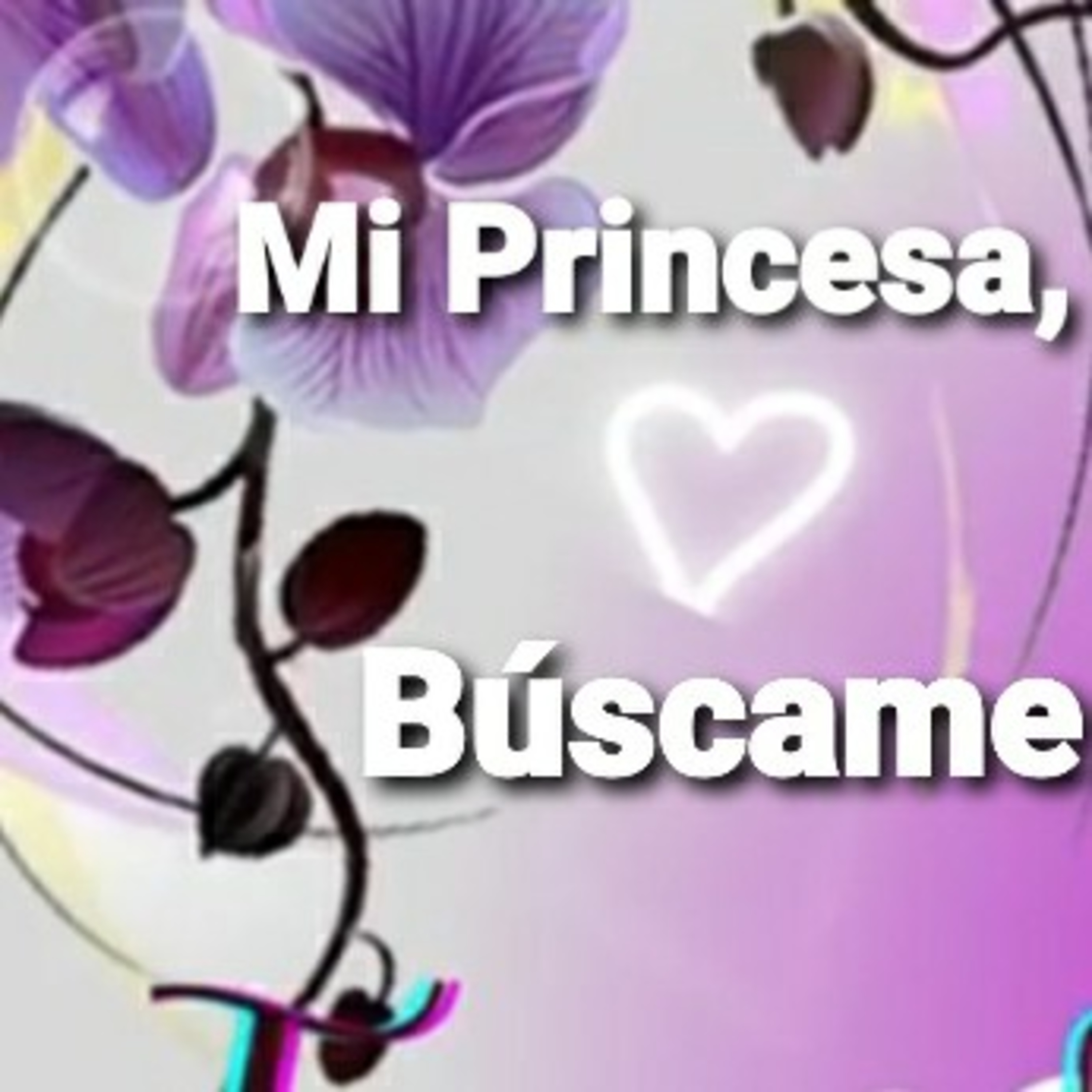 Mi Princesa, BÚSCAME (Sheri Rose) episode artwork