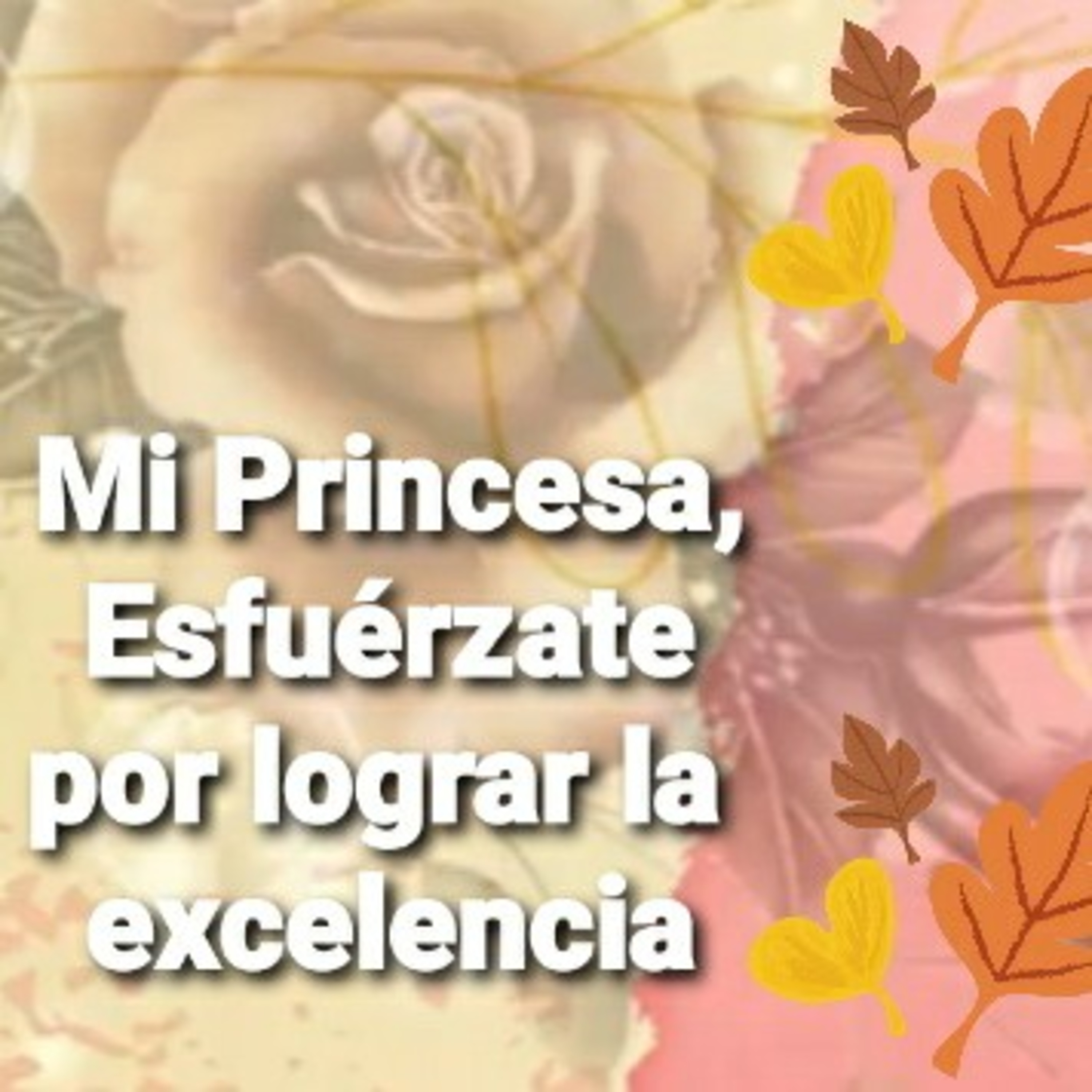IMPACTANDO EN CRISTO