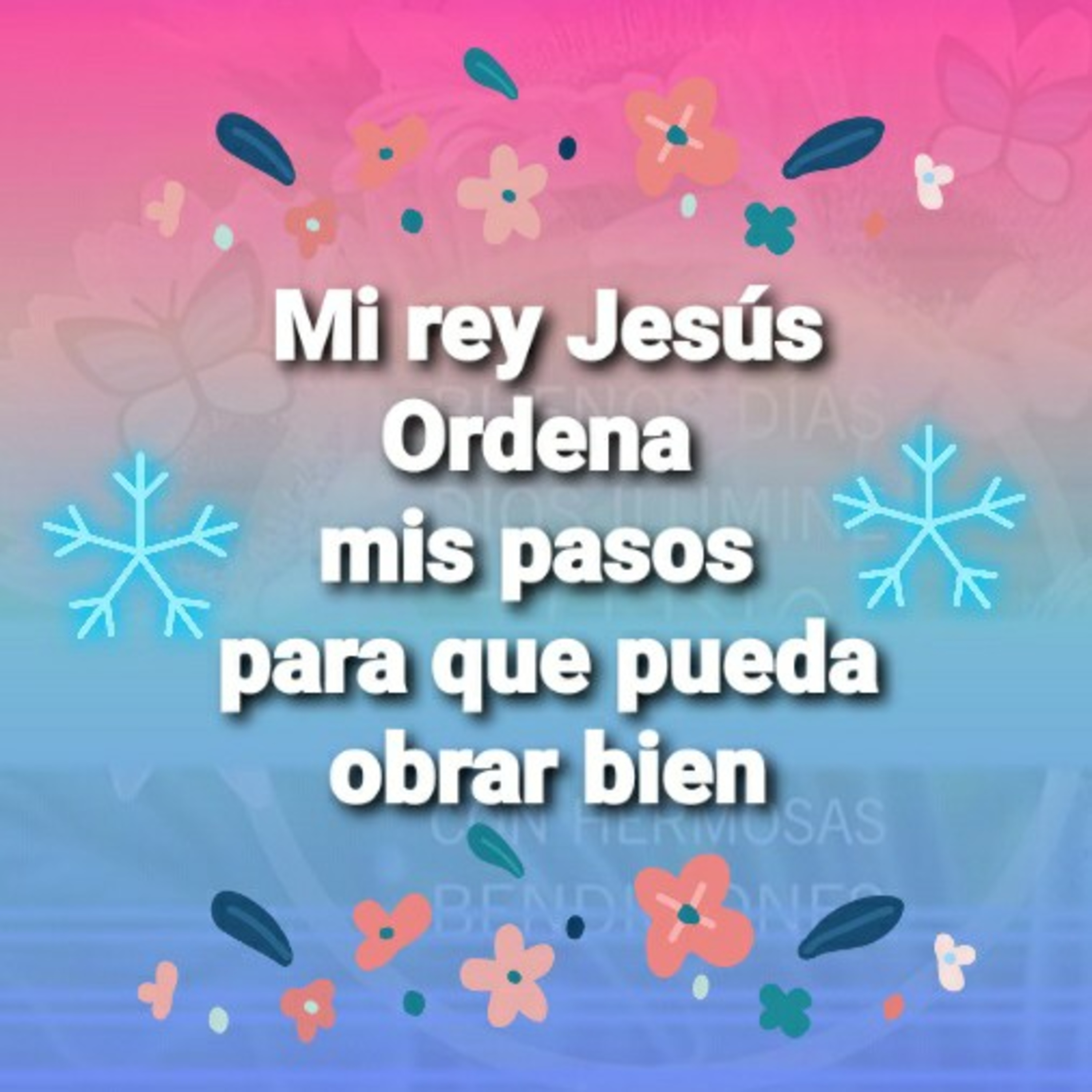 Mi Rey Jesús, ORDENA MIS PASOS, PARA QUE PUEDA OBRAR BIEN  (Sheri Rose) episode artwork
