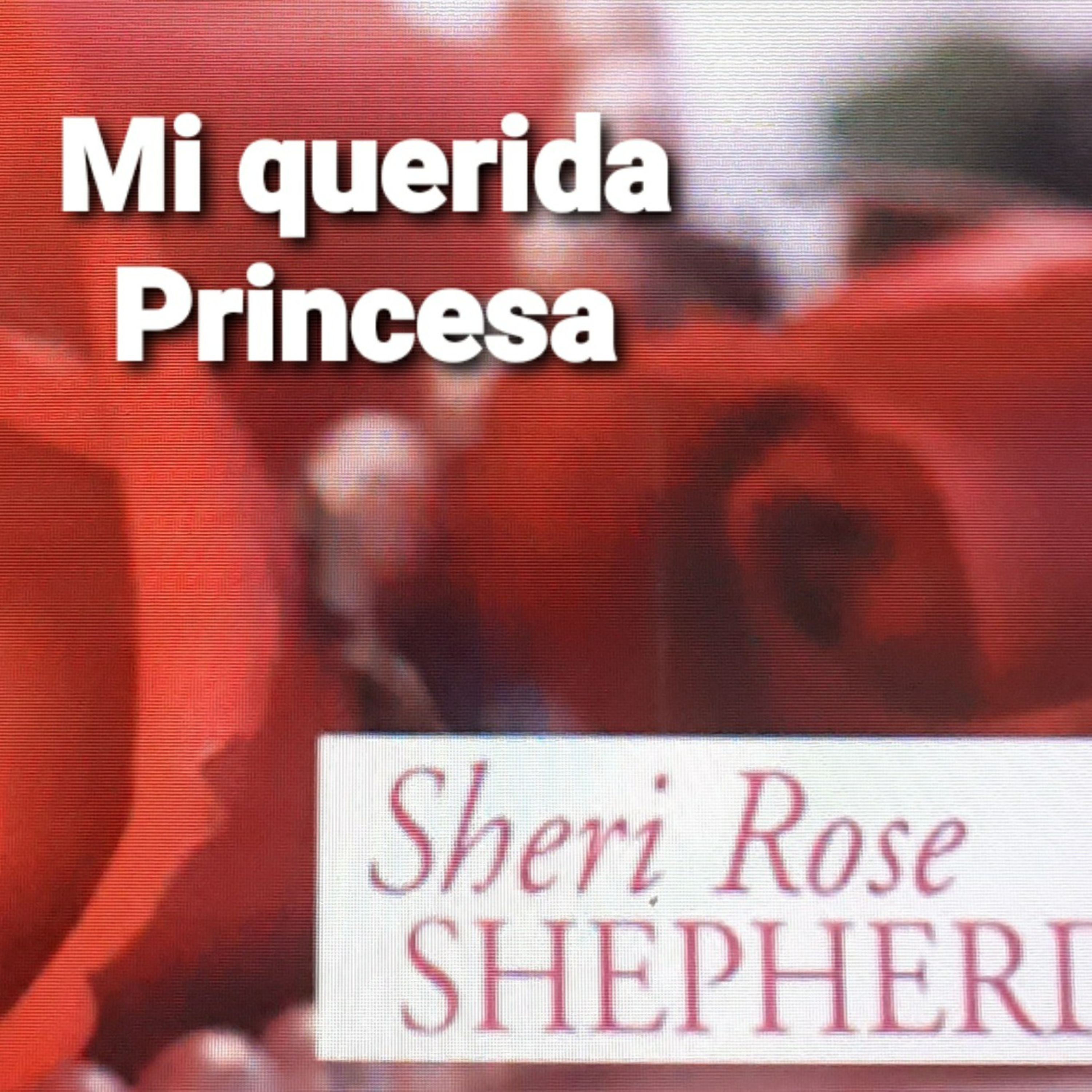 Mi querida Princesa - ORACIONES A MI REY (Sheri Rose) episode artwork