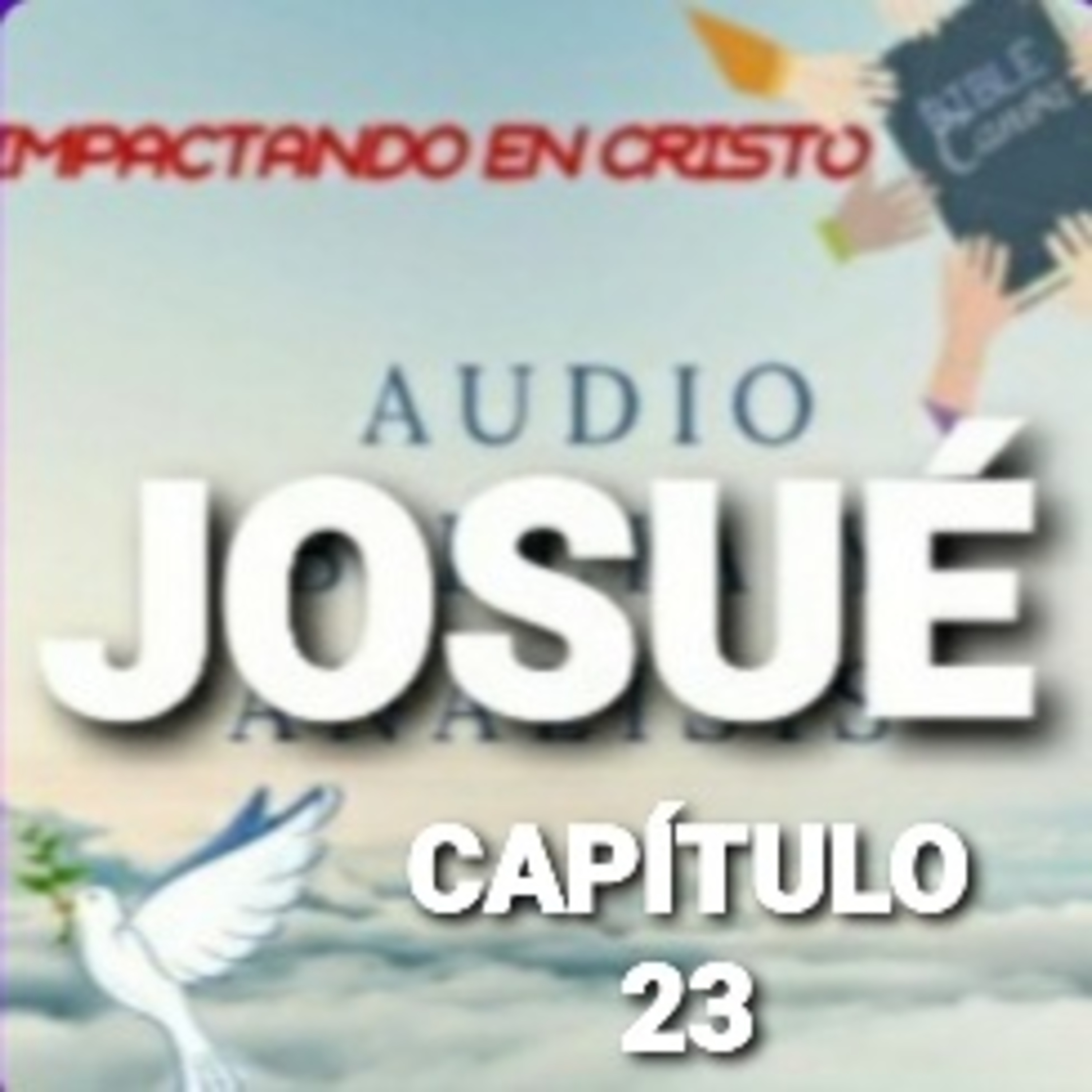 JOSUÉ Cap.23 Exhortación de Josué al Pueblo episode artwork