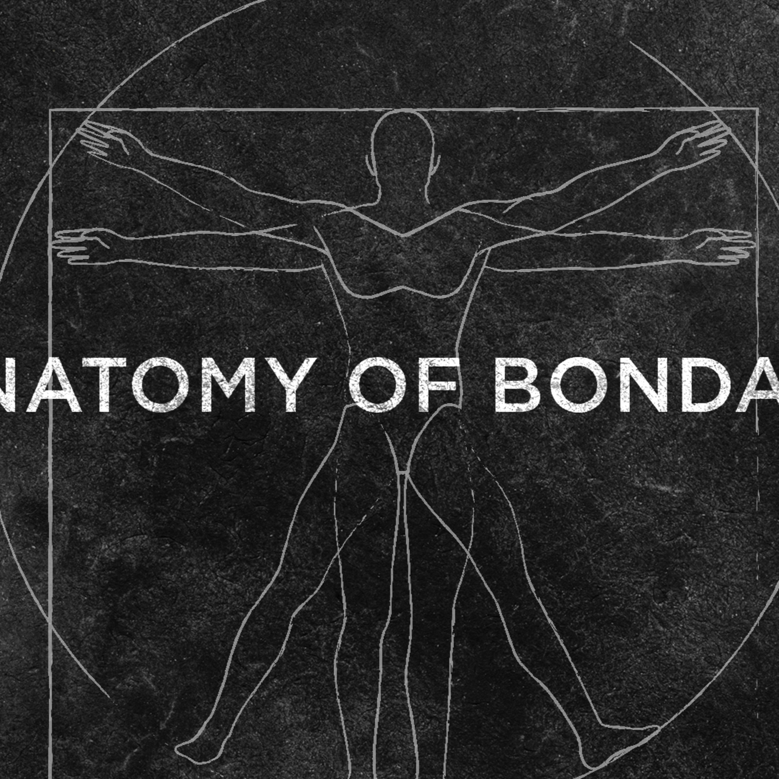 The Anatomy of Bondage episode artwork